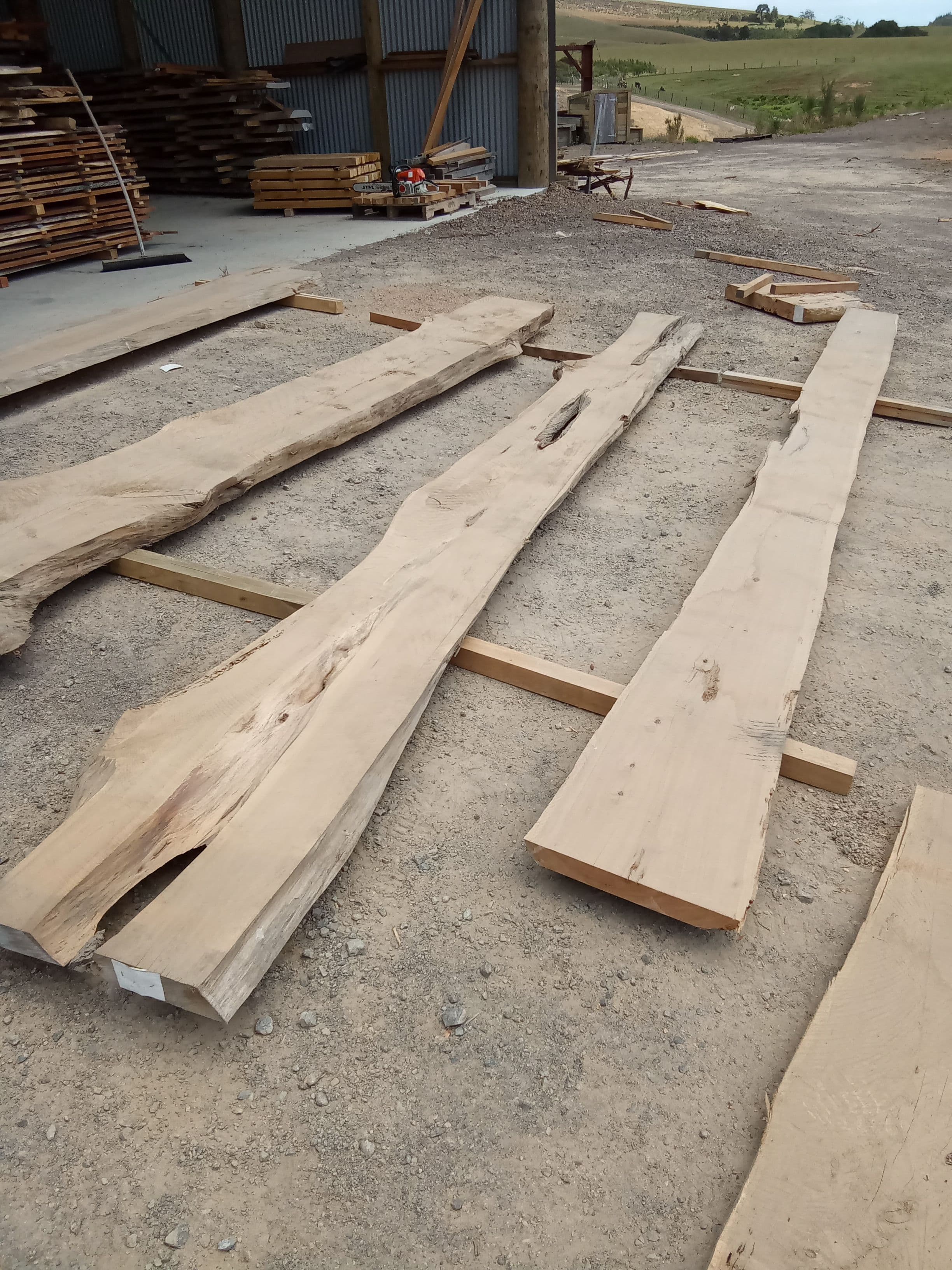 Macrocarpa Slab #18 view 1