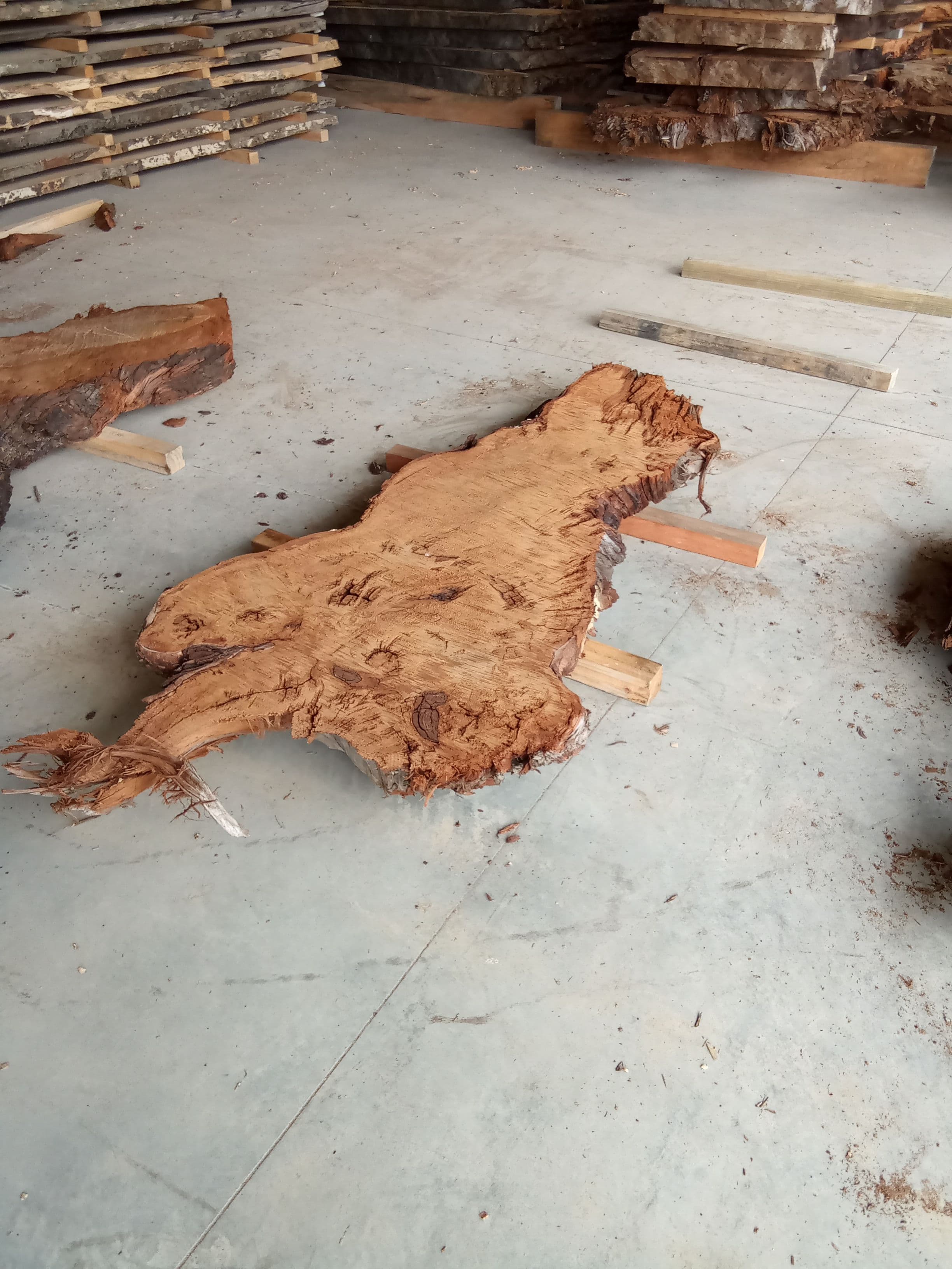 Kauri Slab #4 view 1