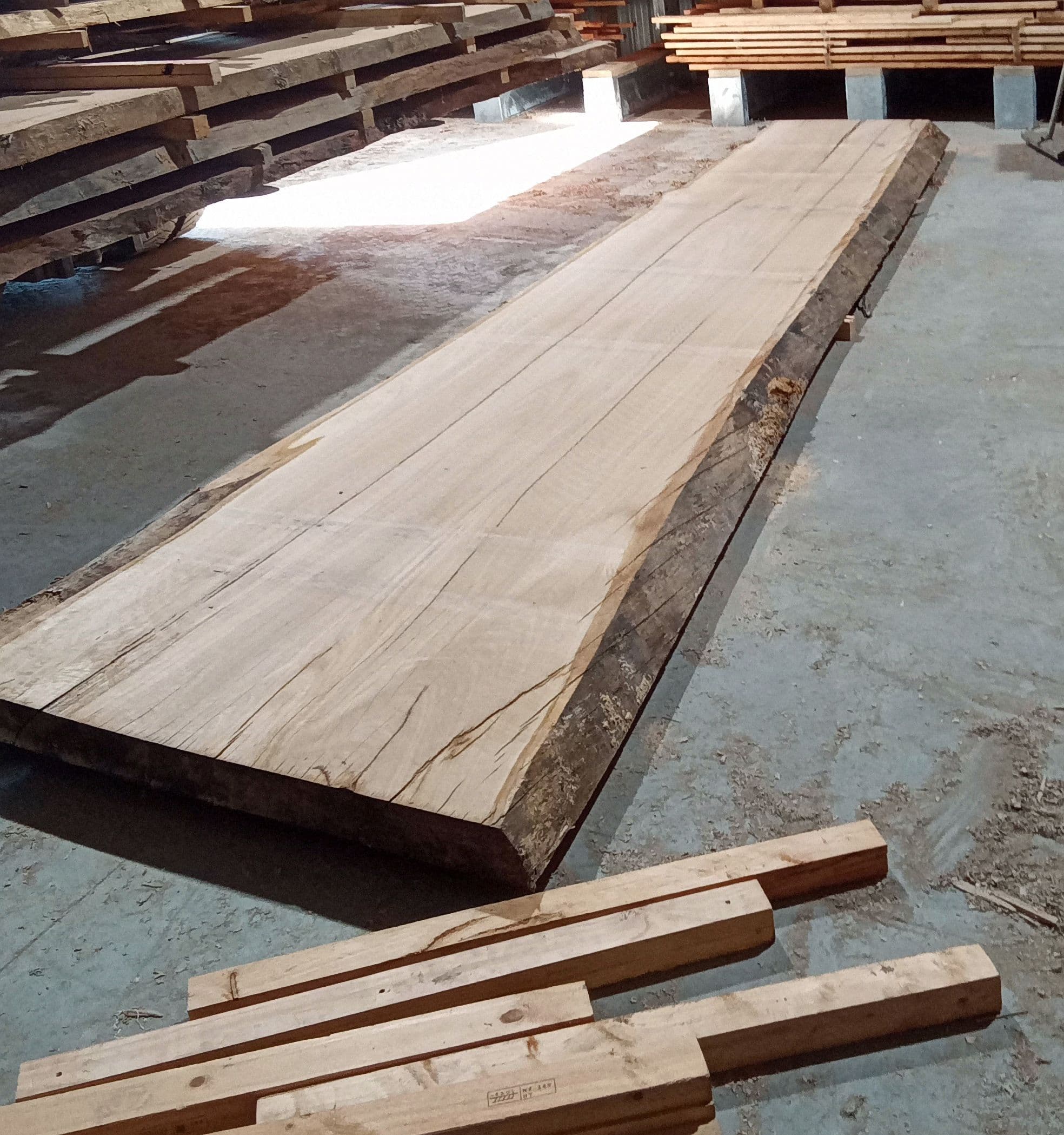 Blackbutt Eucalyptus Slab #1 view 1