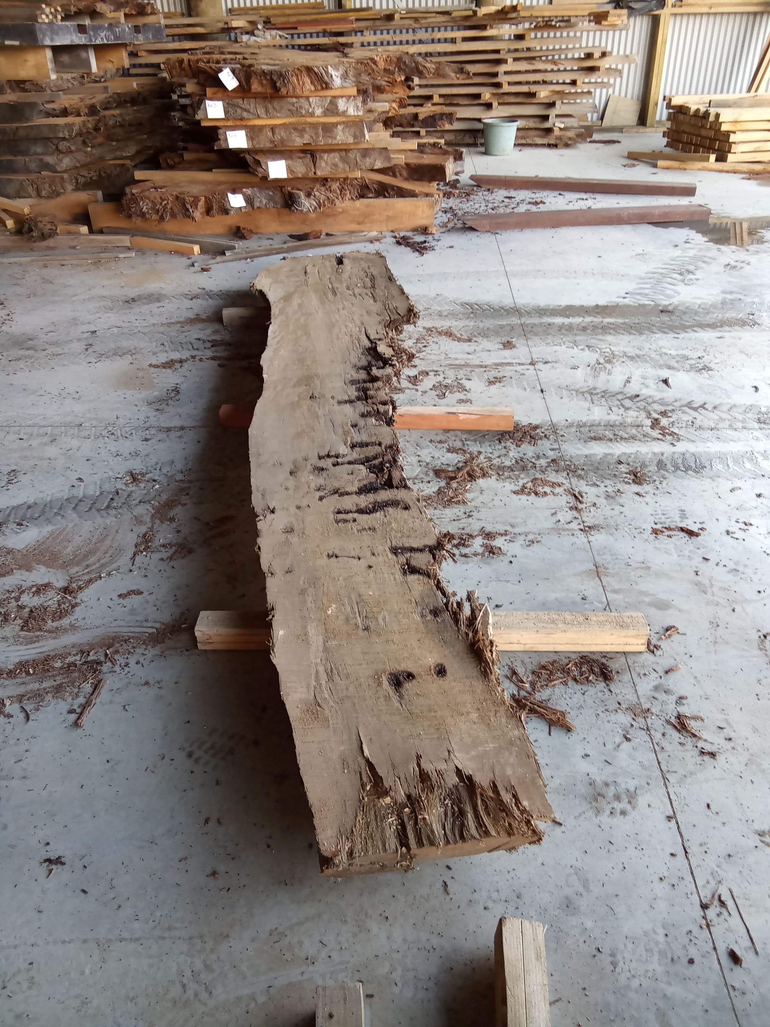 Kauri Slab #12