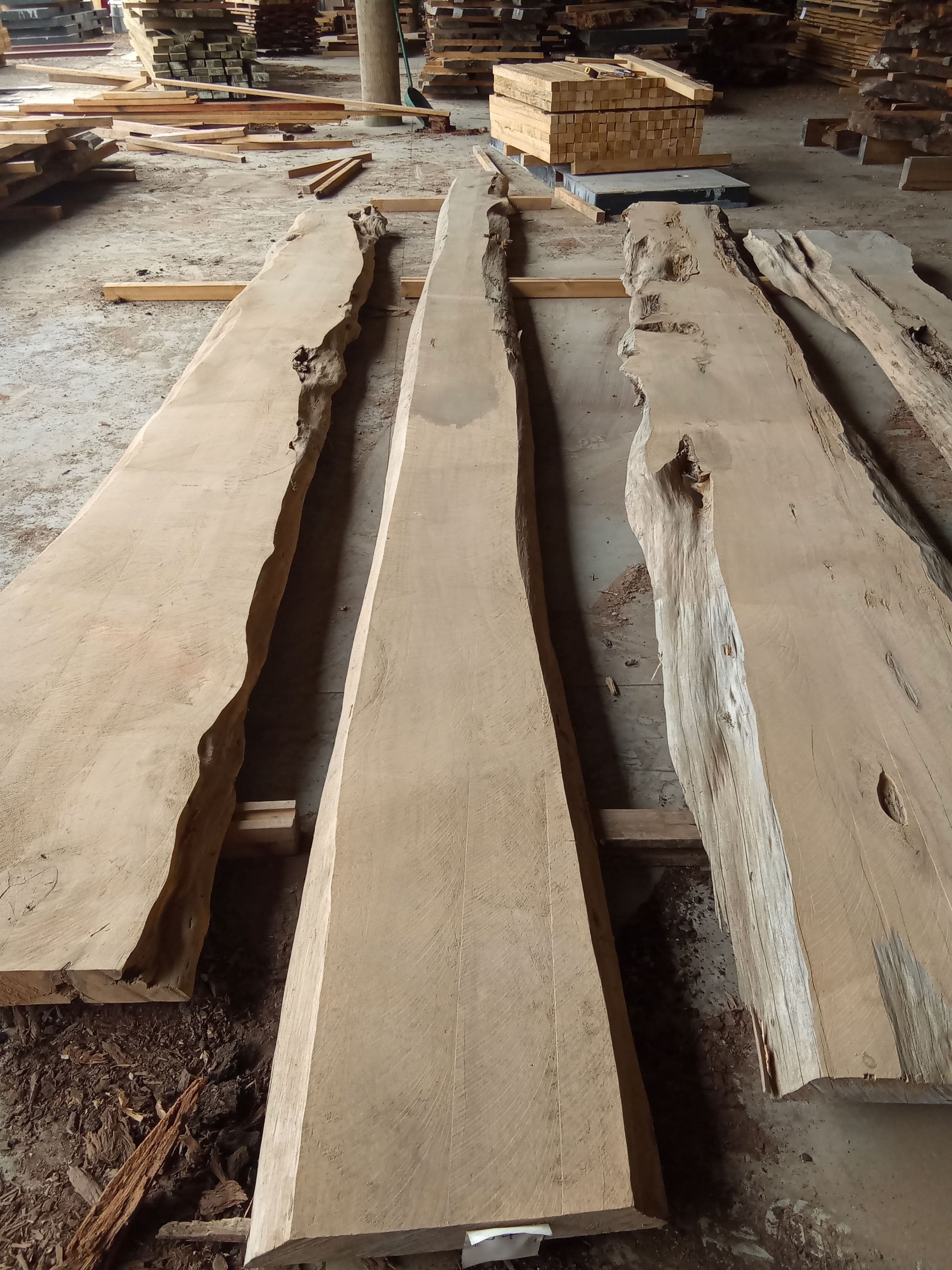 Macrocarpa Slab #29 view 2