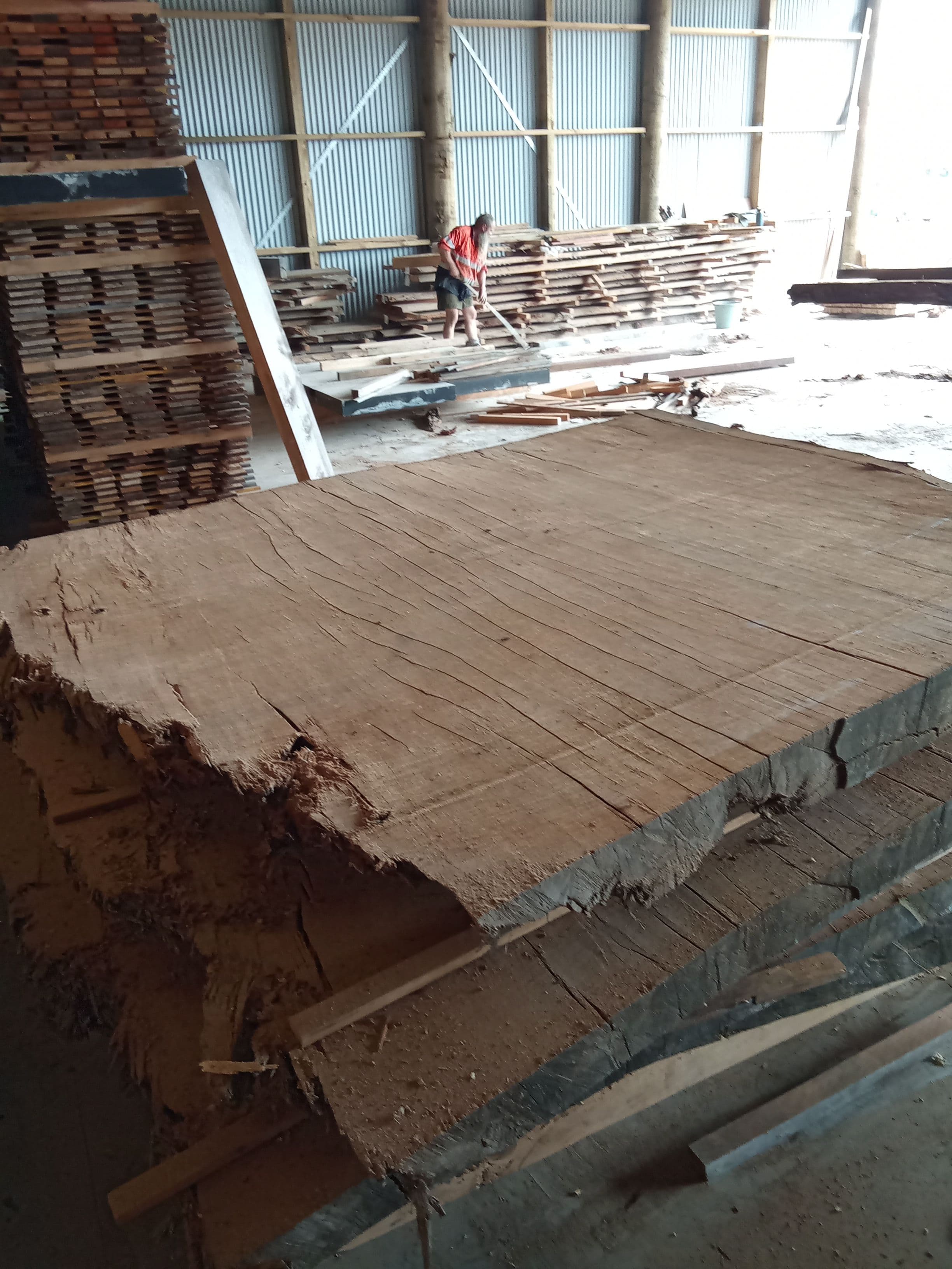 Kauri Slab #15