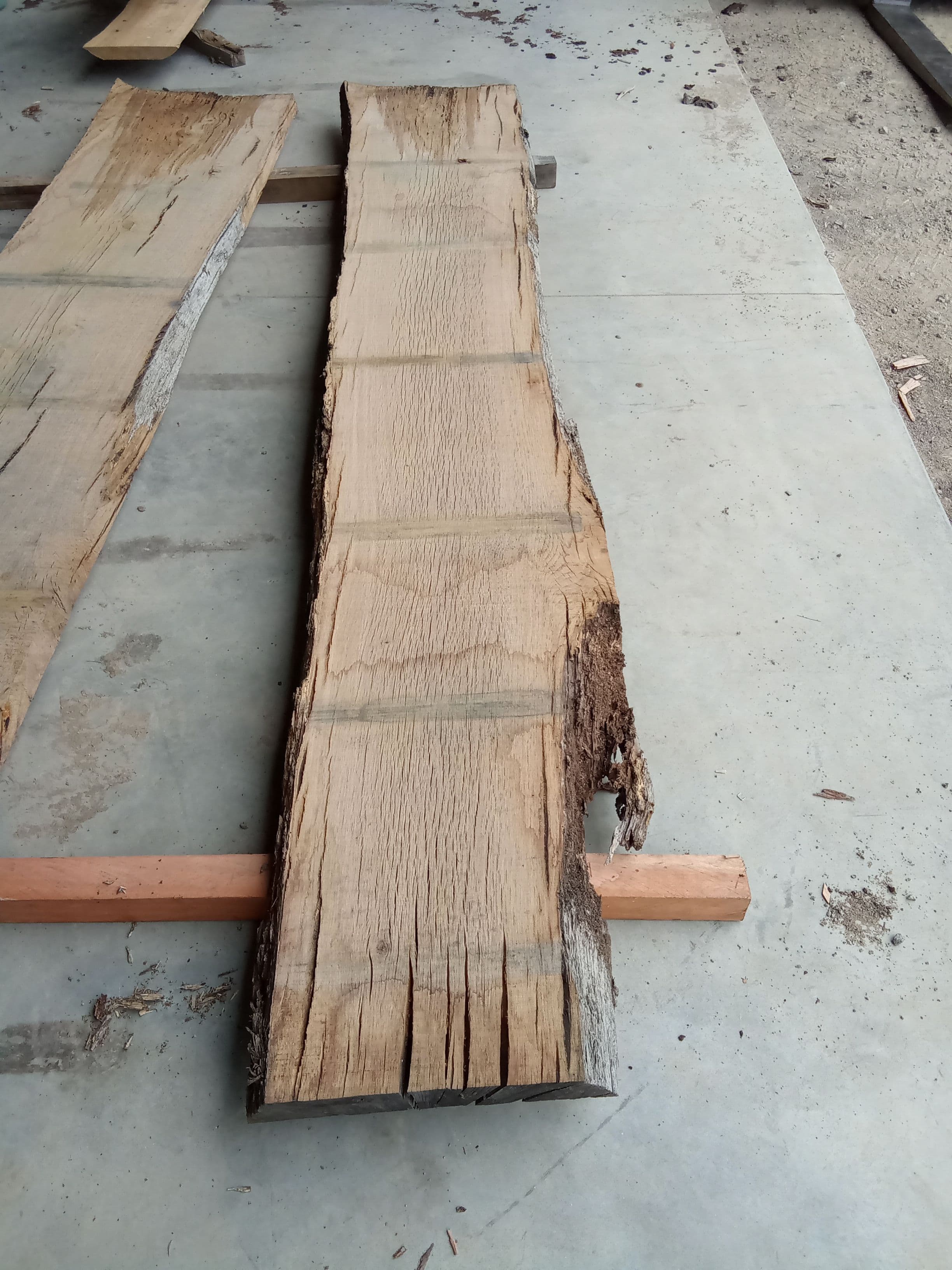 Oak Slab #19