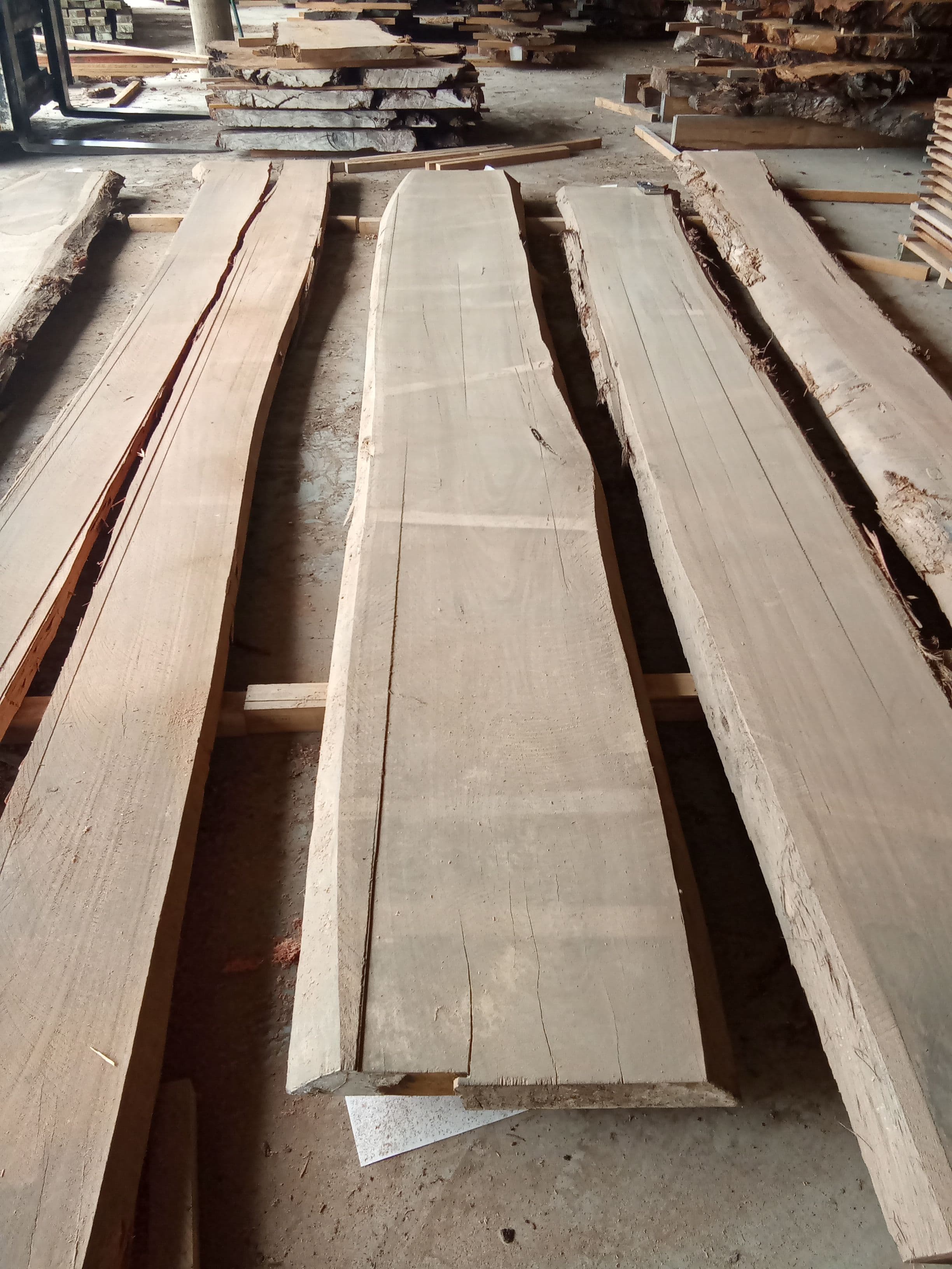 Blackbutt Eucalyptus Slab #14 view 2