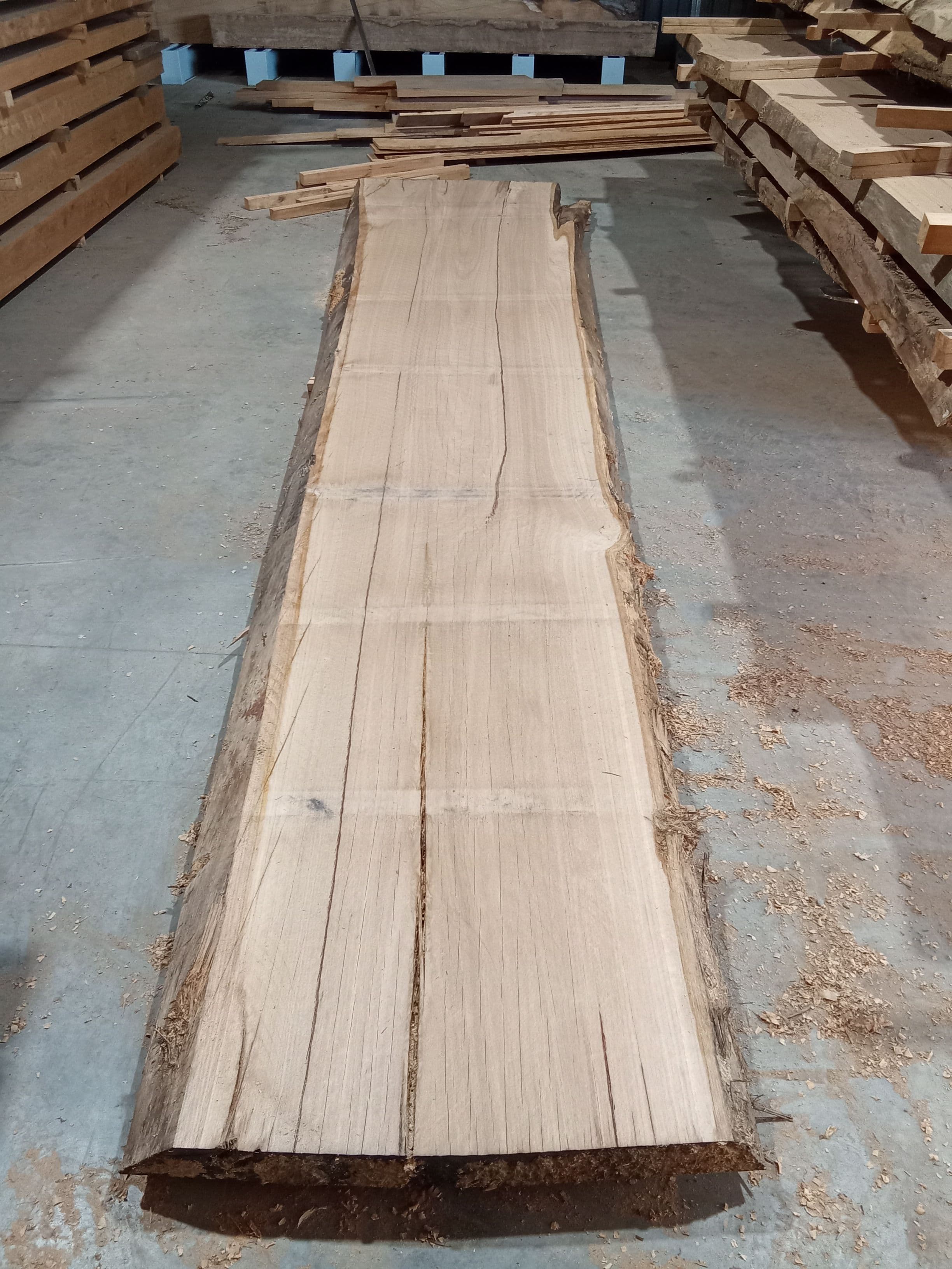 Blackbutt Eucalyptus Slab #1 view 2