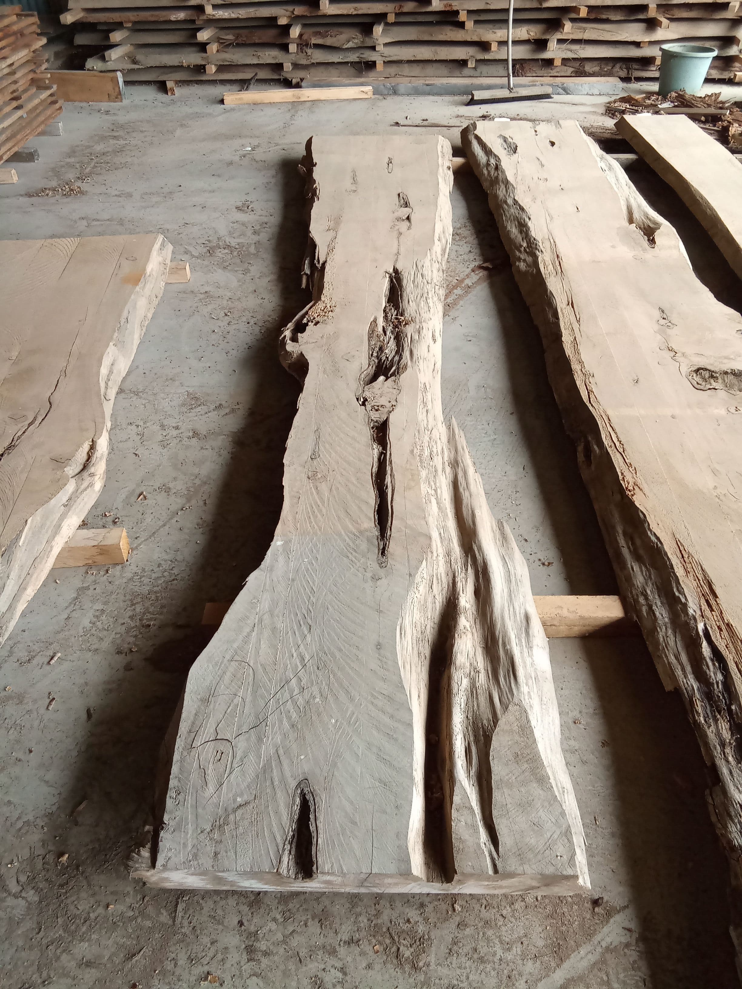 Macrocarpa Slab #27