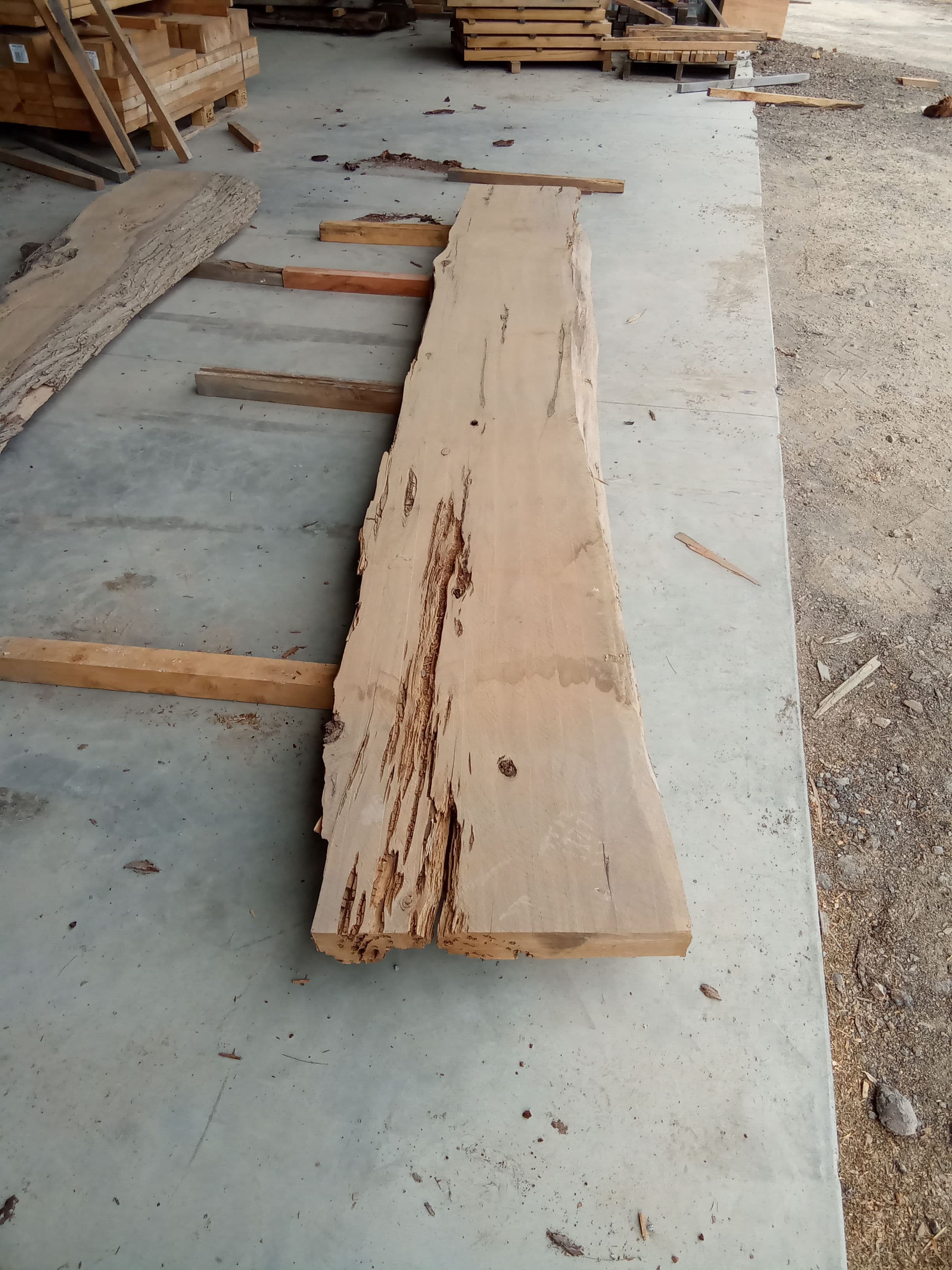 Macrocarpa Slab #25