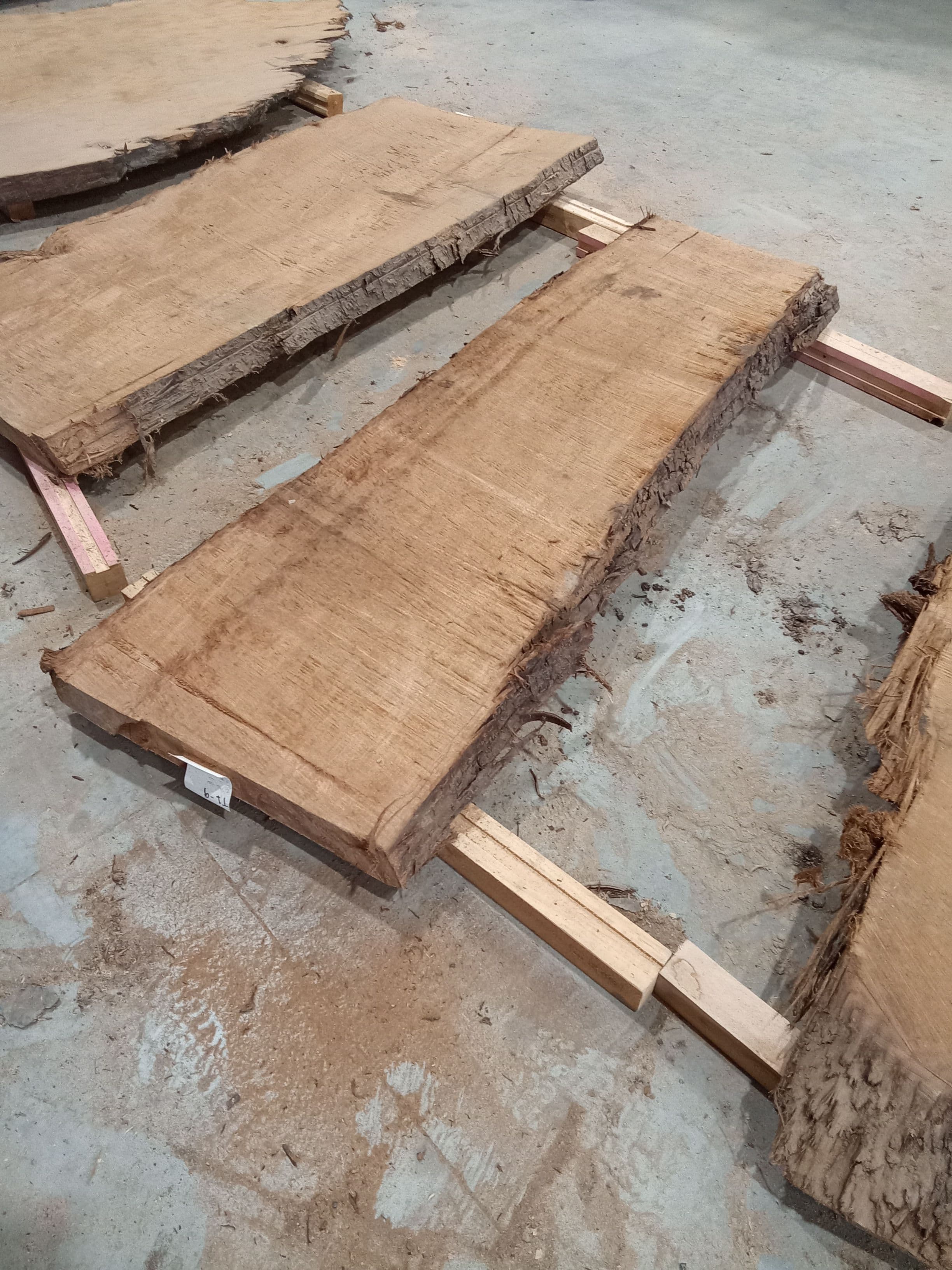 Kauri Slab #32 view 1