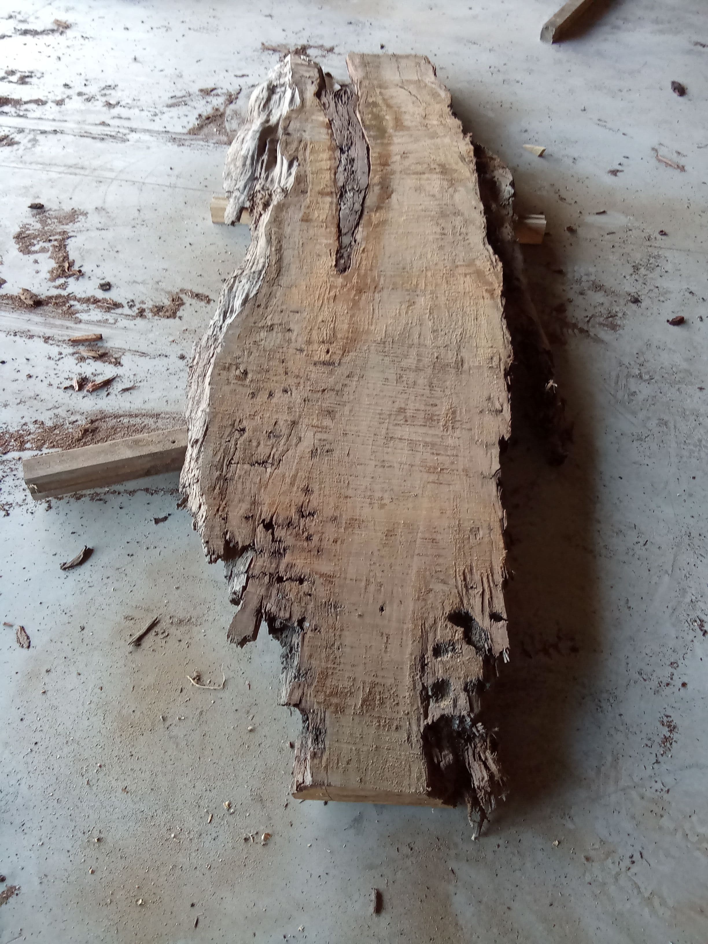 Kauri Slab #11 view 2
