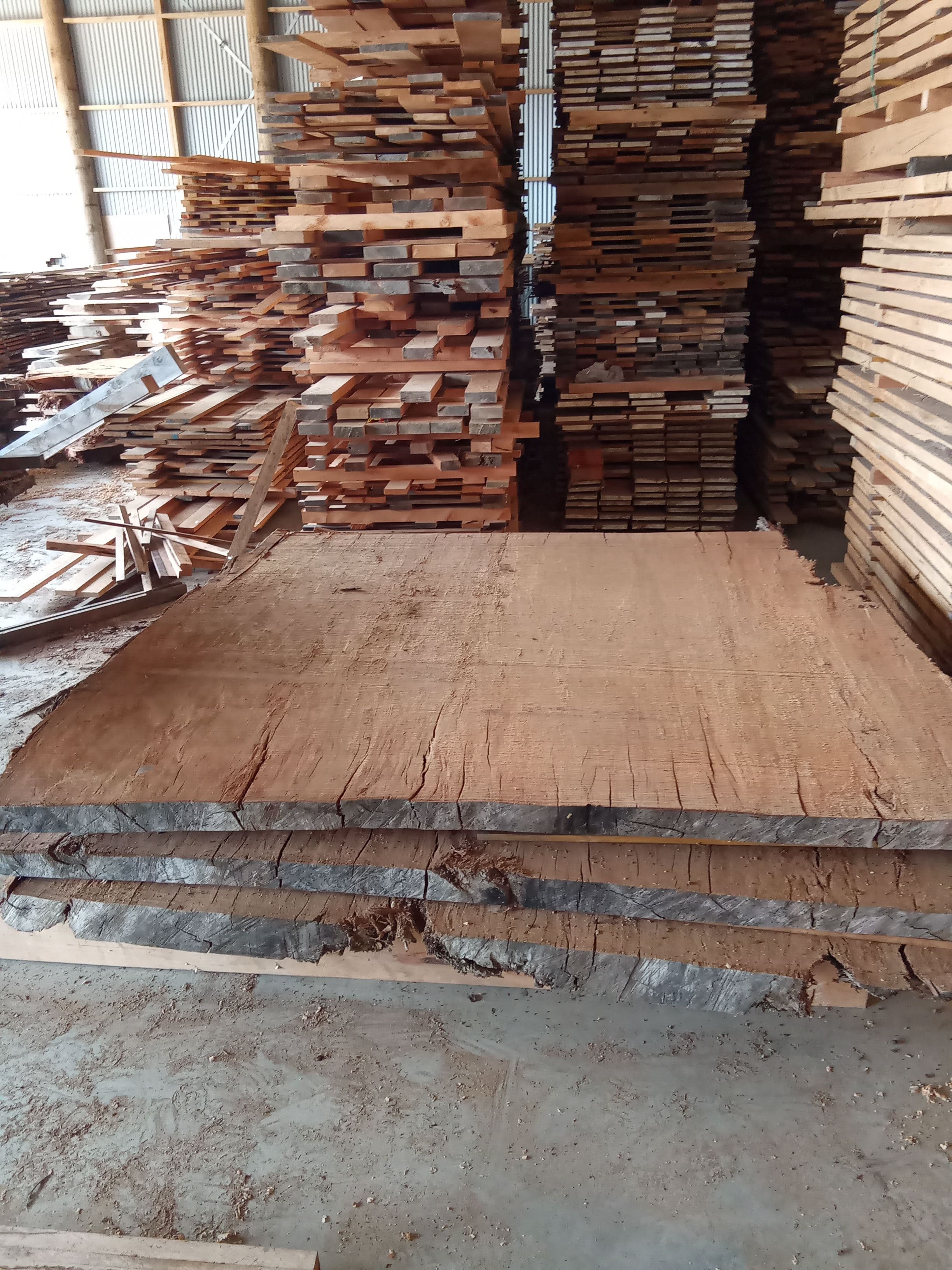 Kauri Slab #17