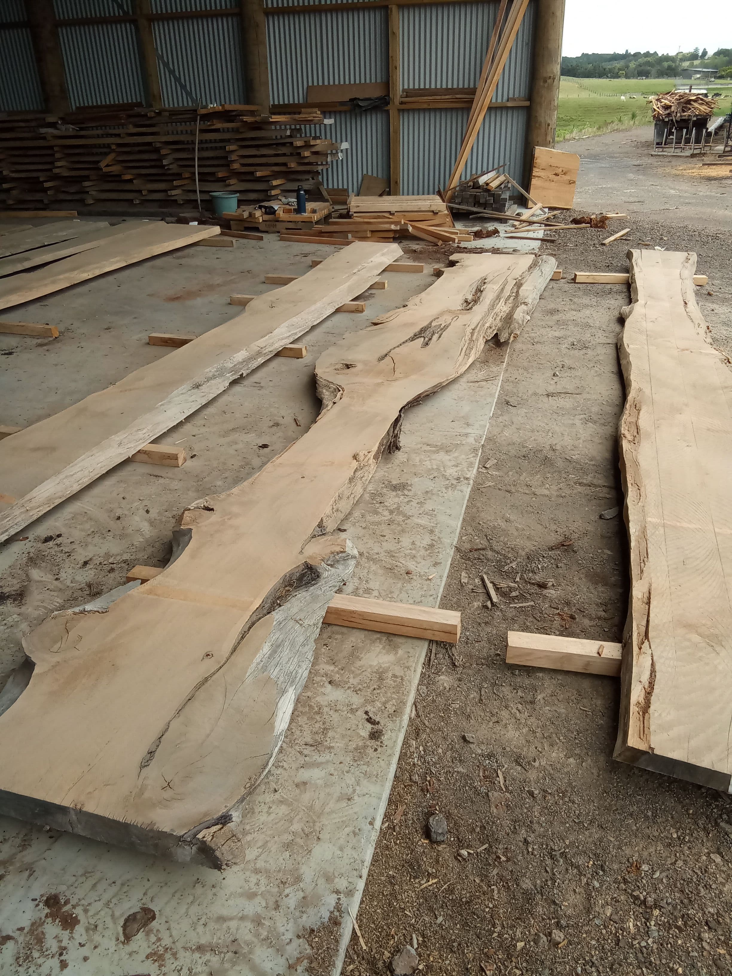 Macrocarpa Slab #32 view 1
