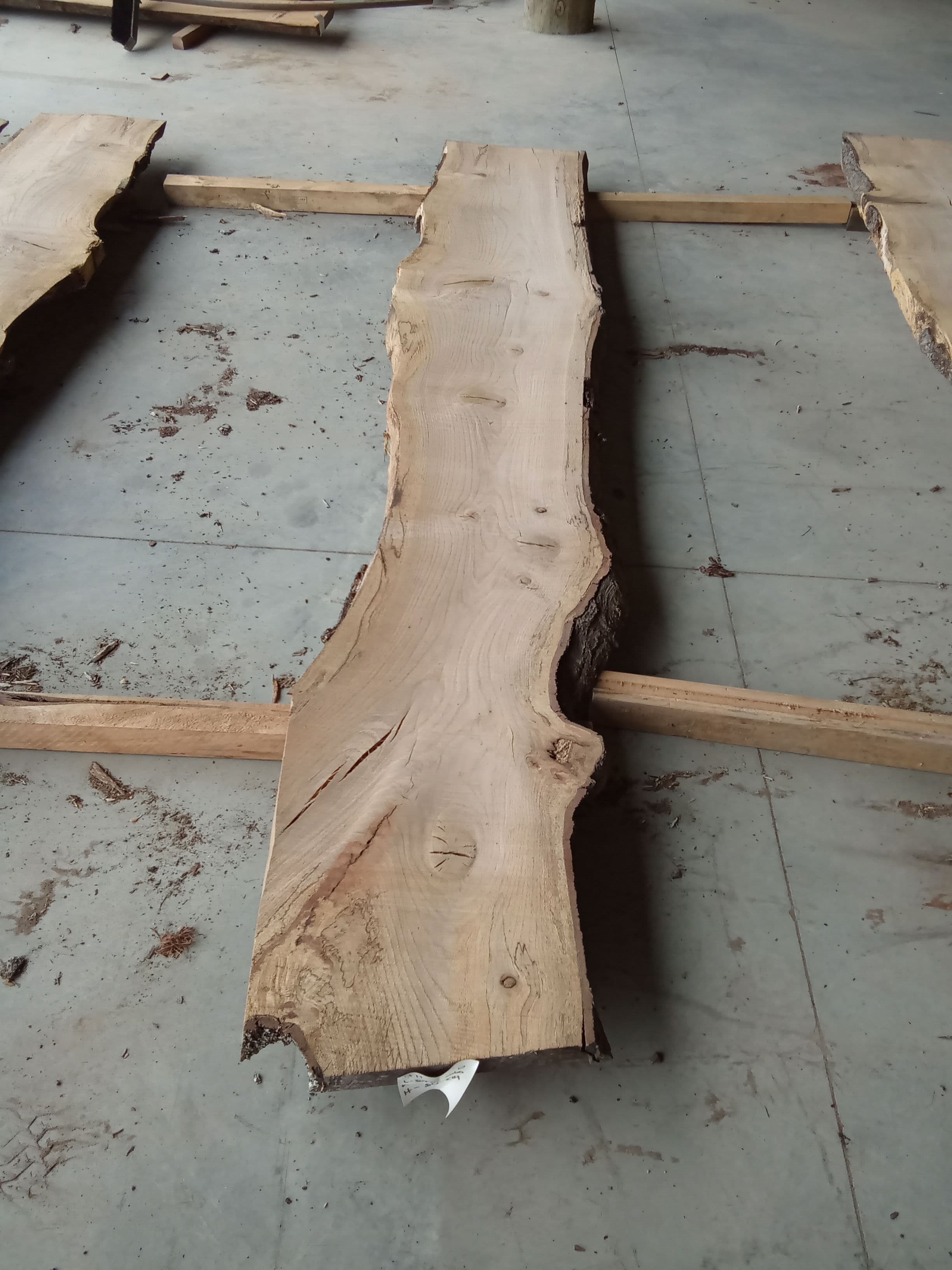 Oak Slab #23