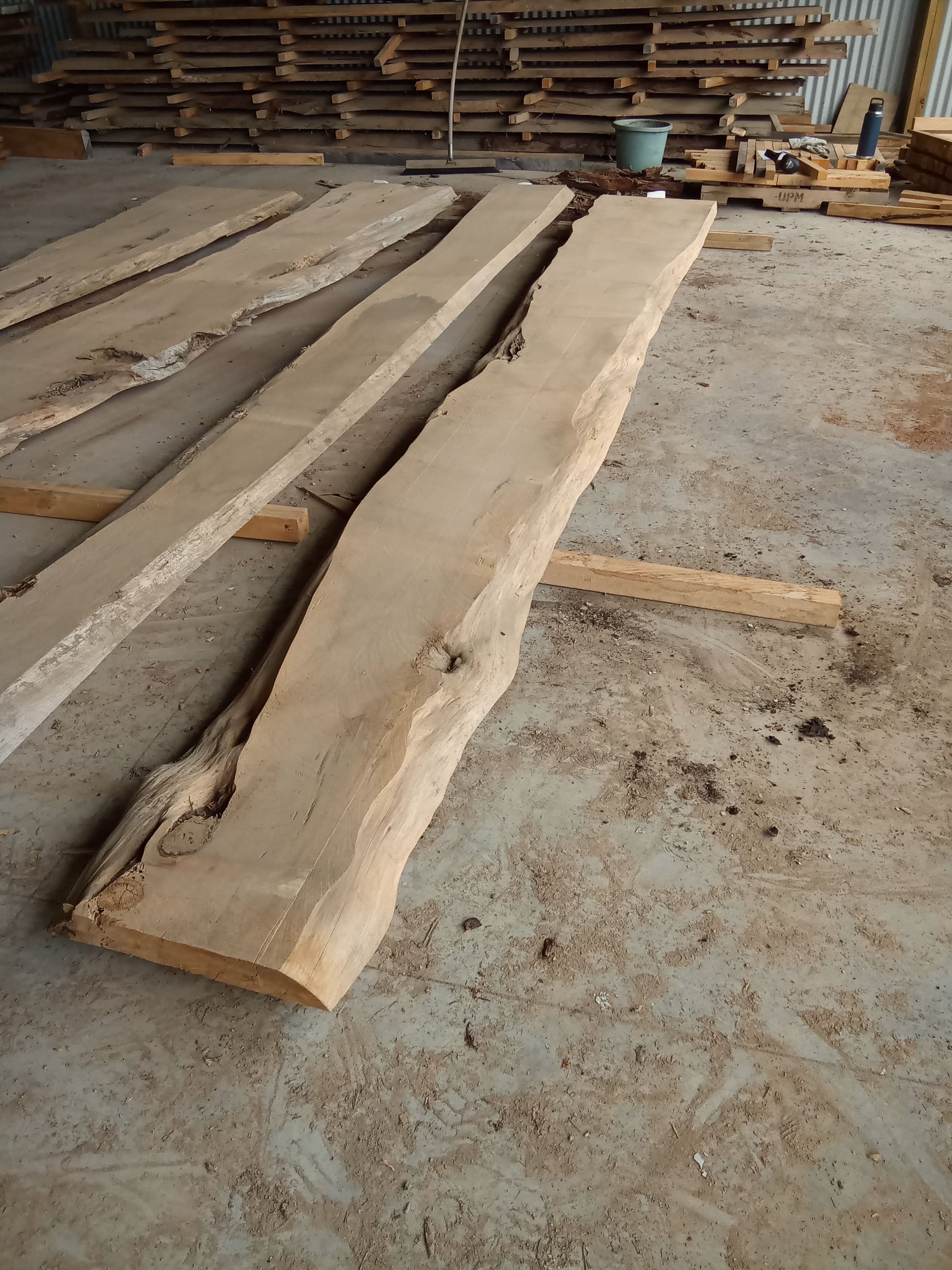 Macrocarpa Slab #30 view 1