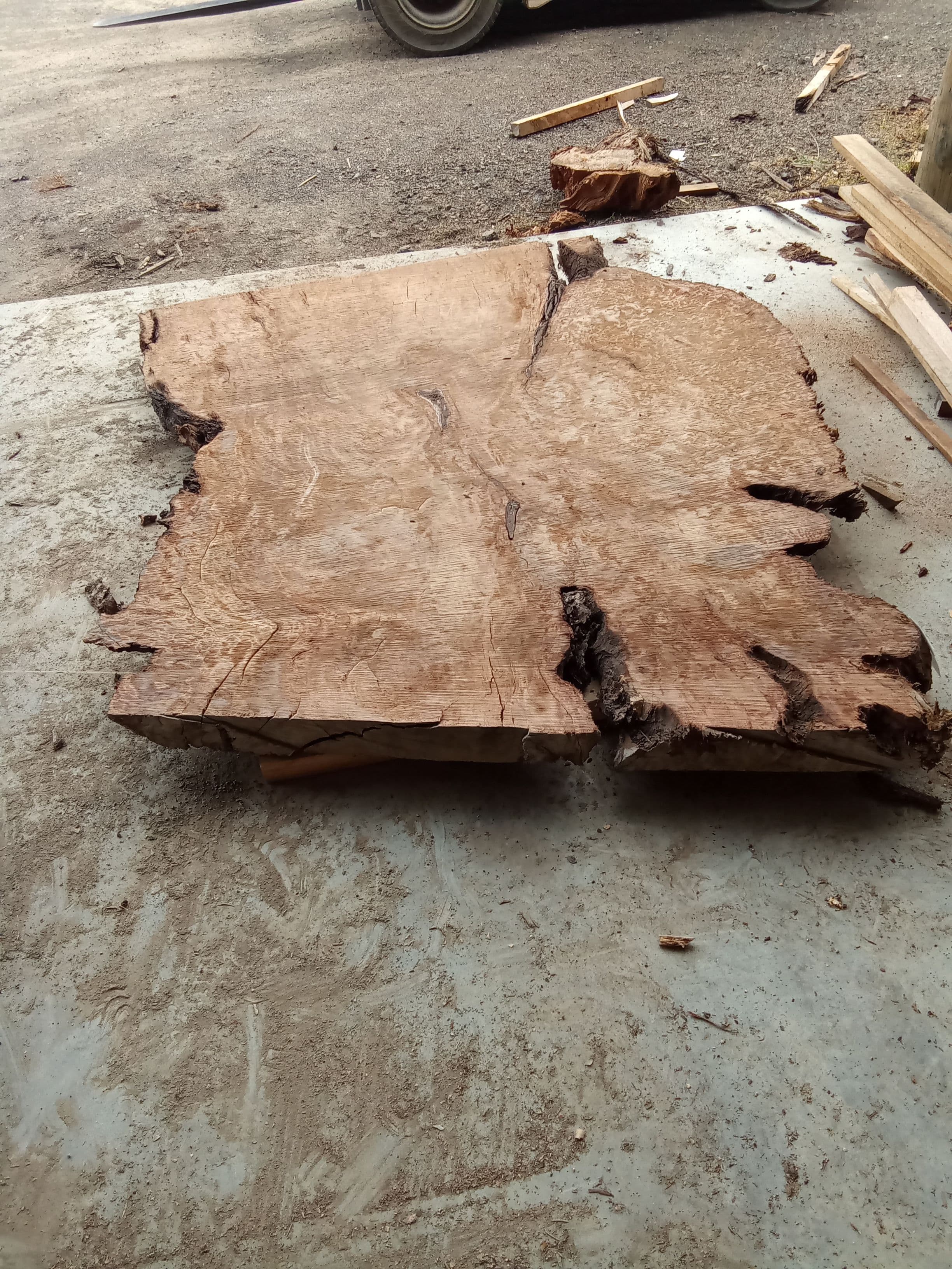 Kauri Slab #23