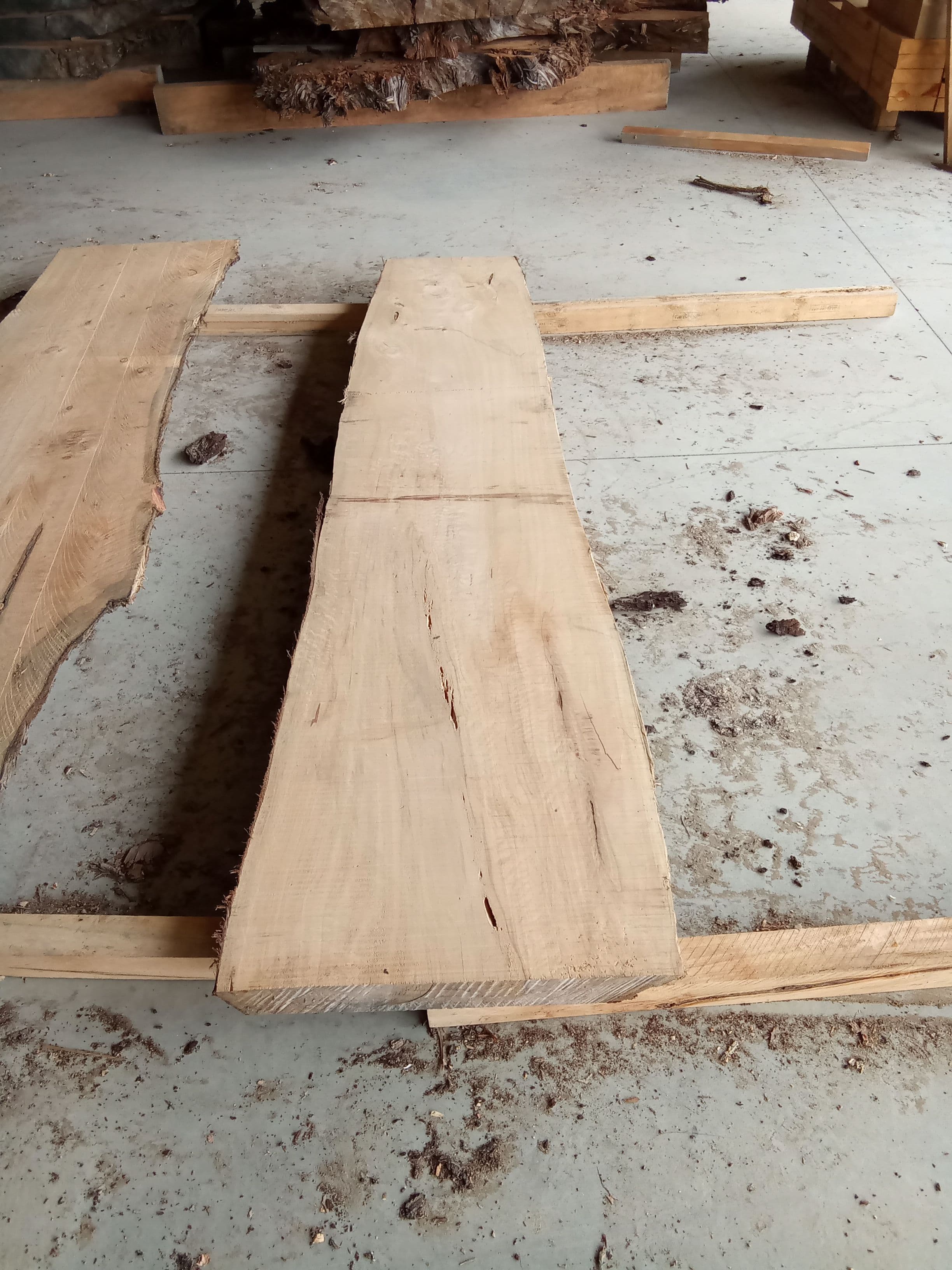 Macrocarpa Slab #22