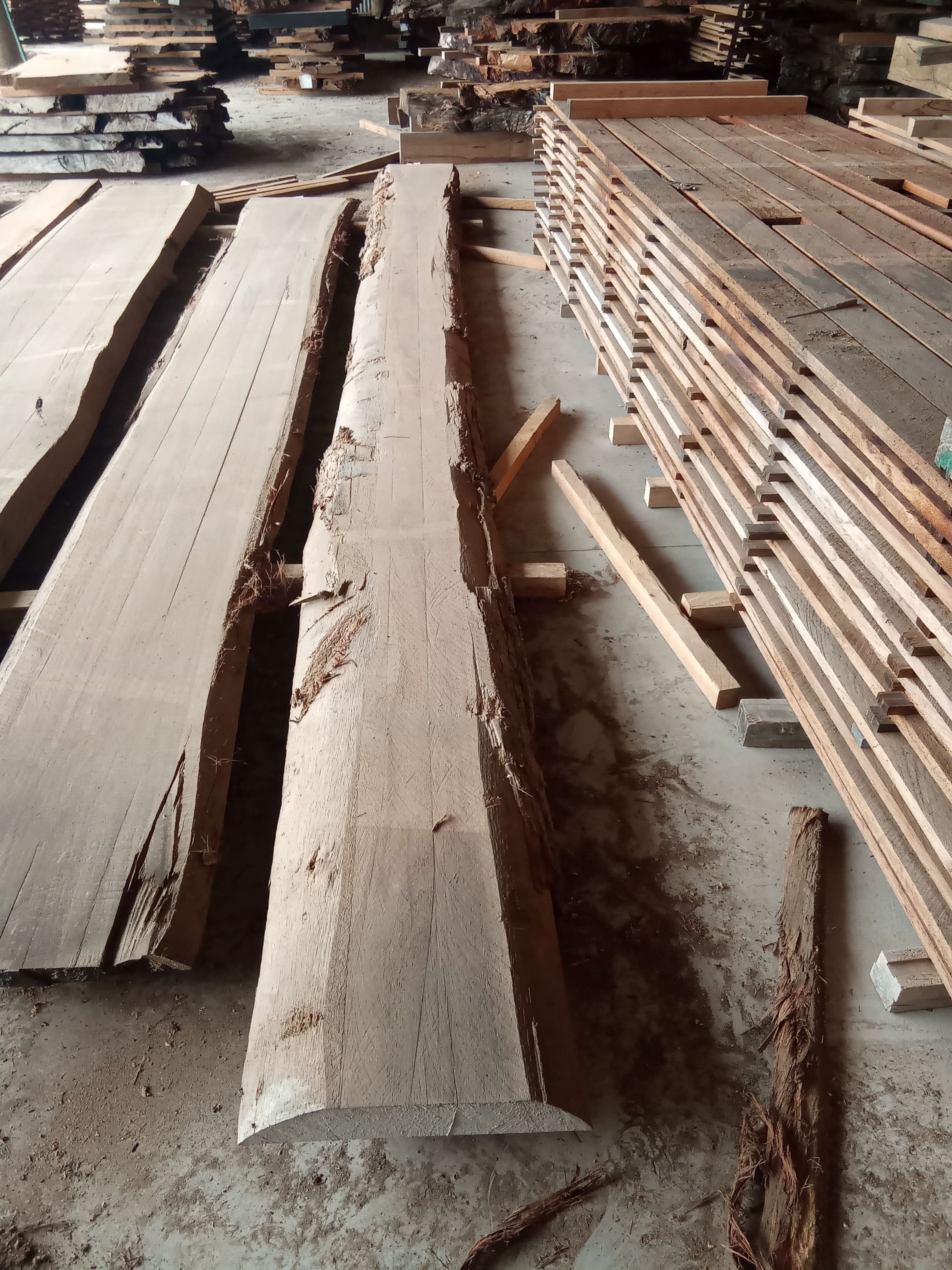 Saligna Eucalyptus Slab #12 view 2
