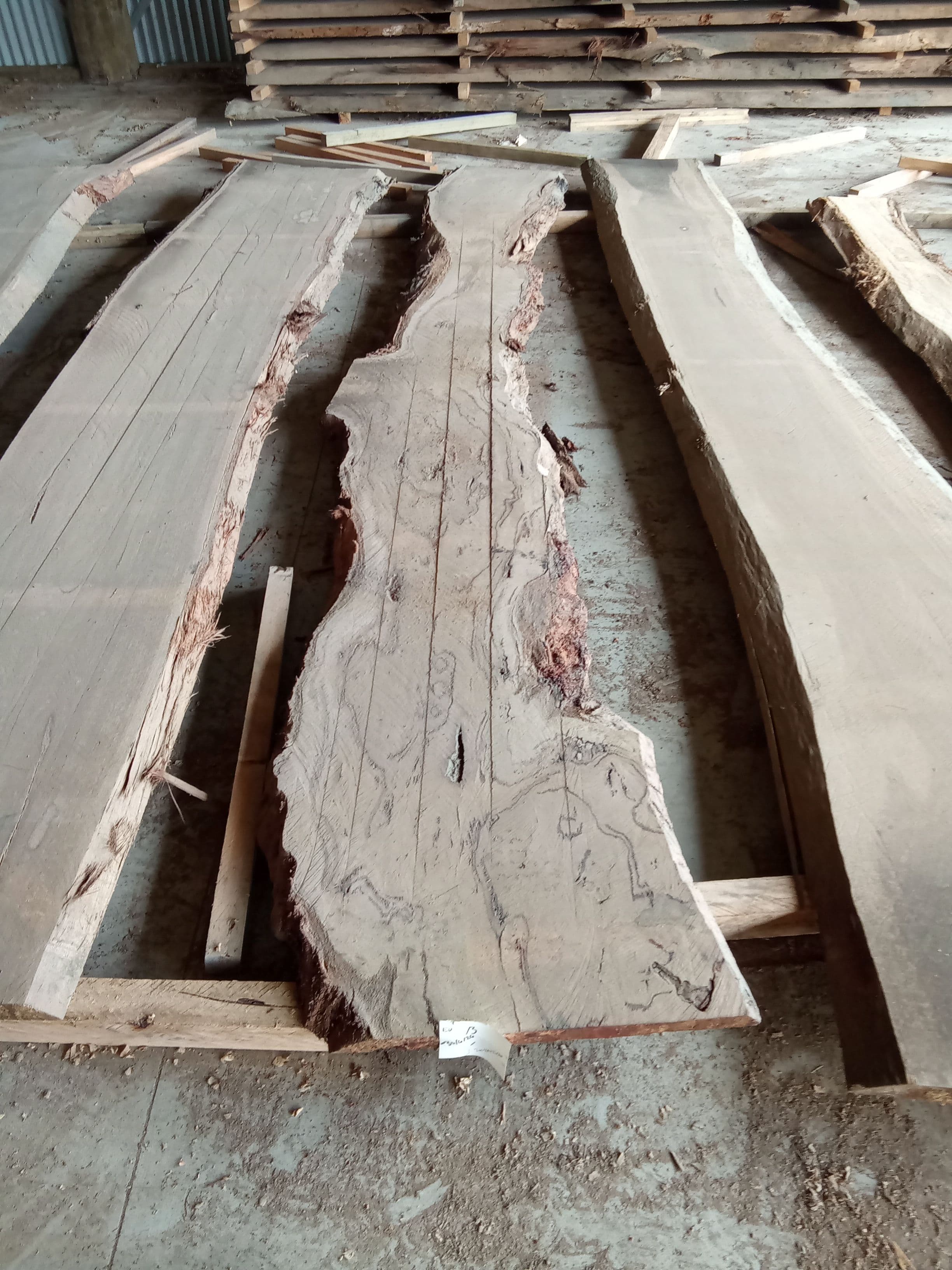 Blackbutt Eucalyptus Slab #23