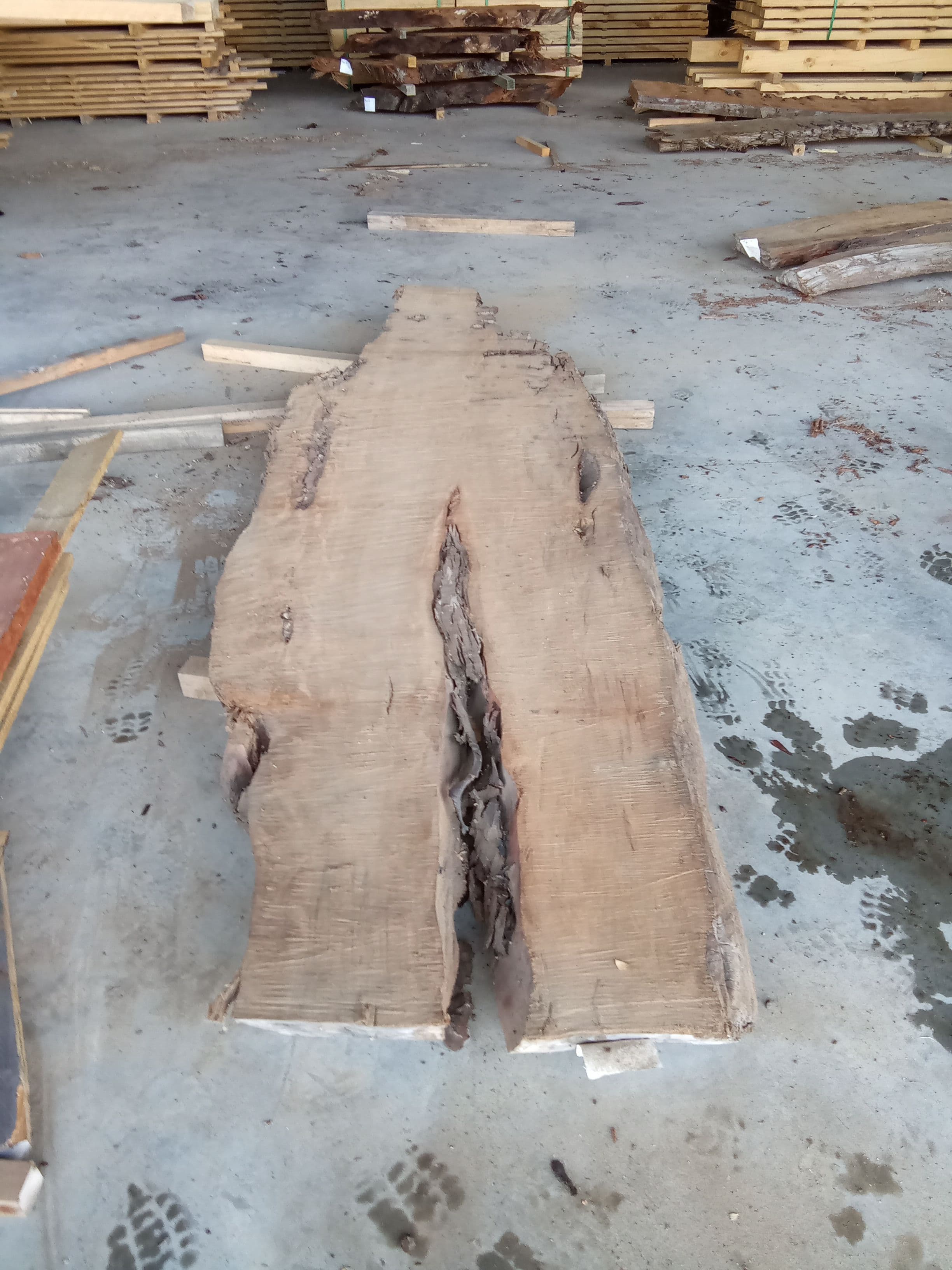 Kauri Slab #10 view 2