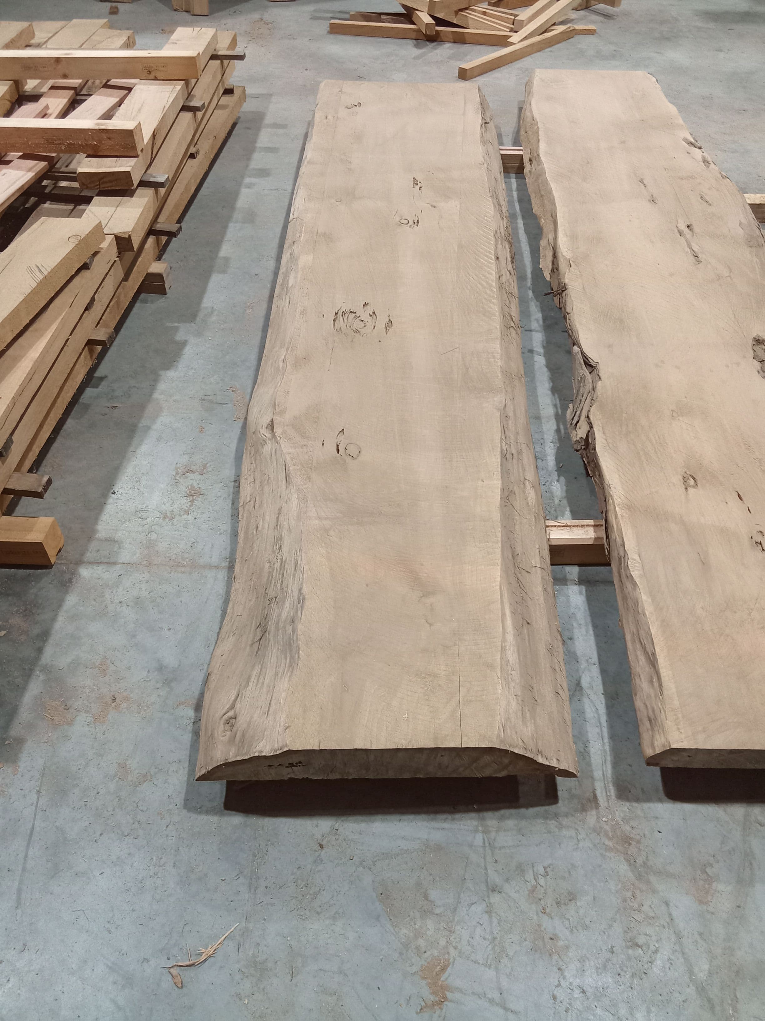 Macrocarpa Slab #38