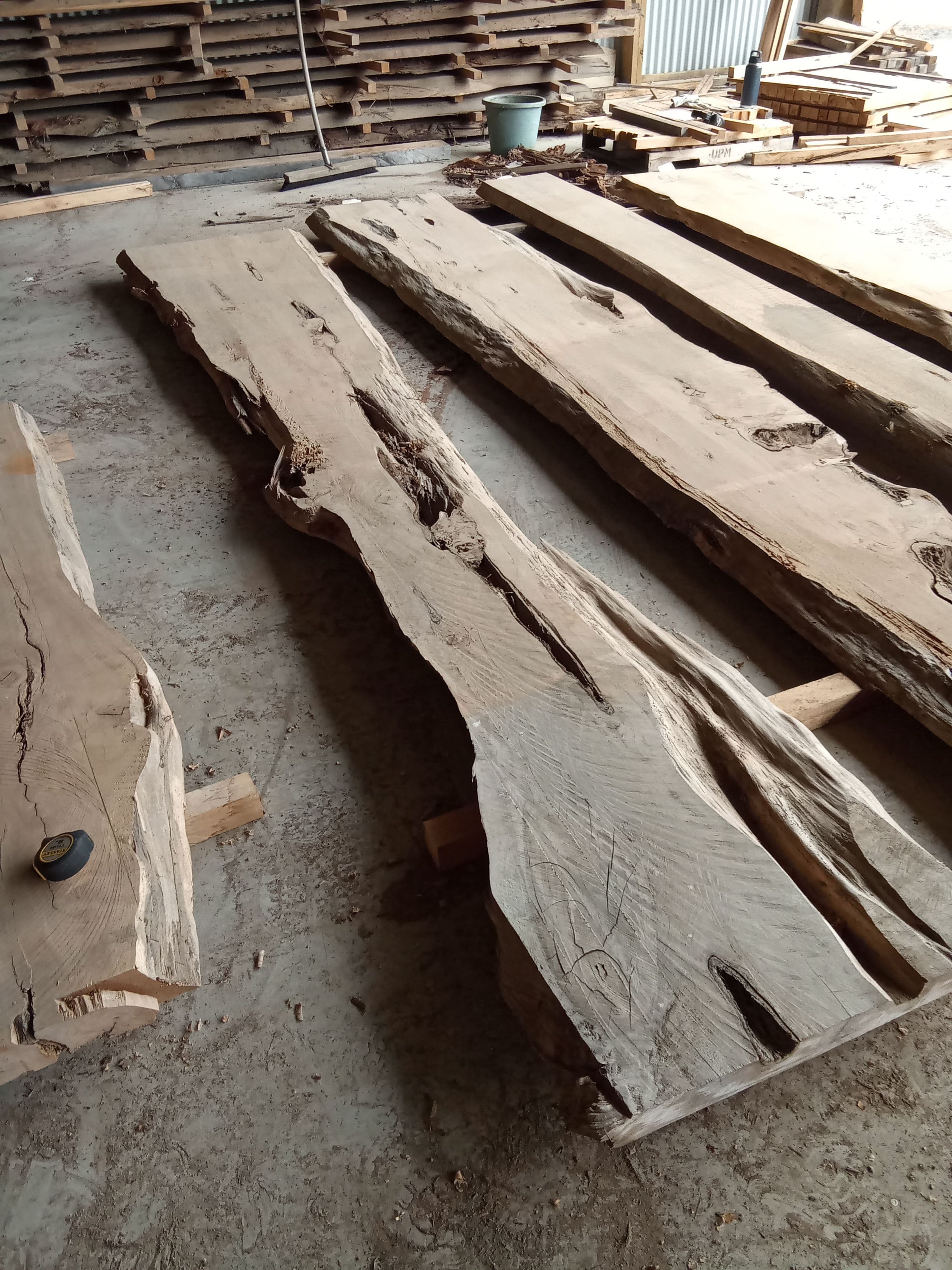 Macrocarpa Slab #27 view 1