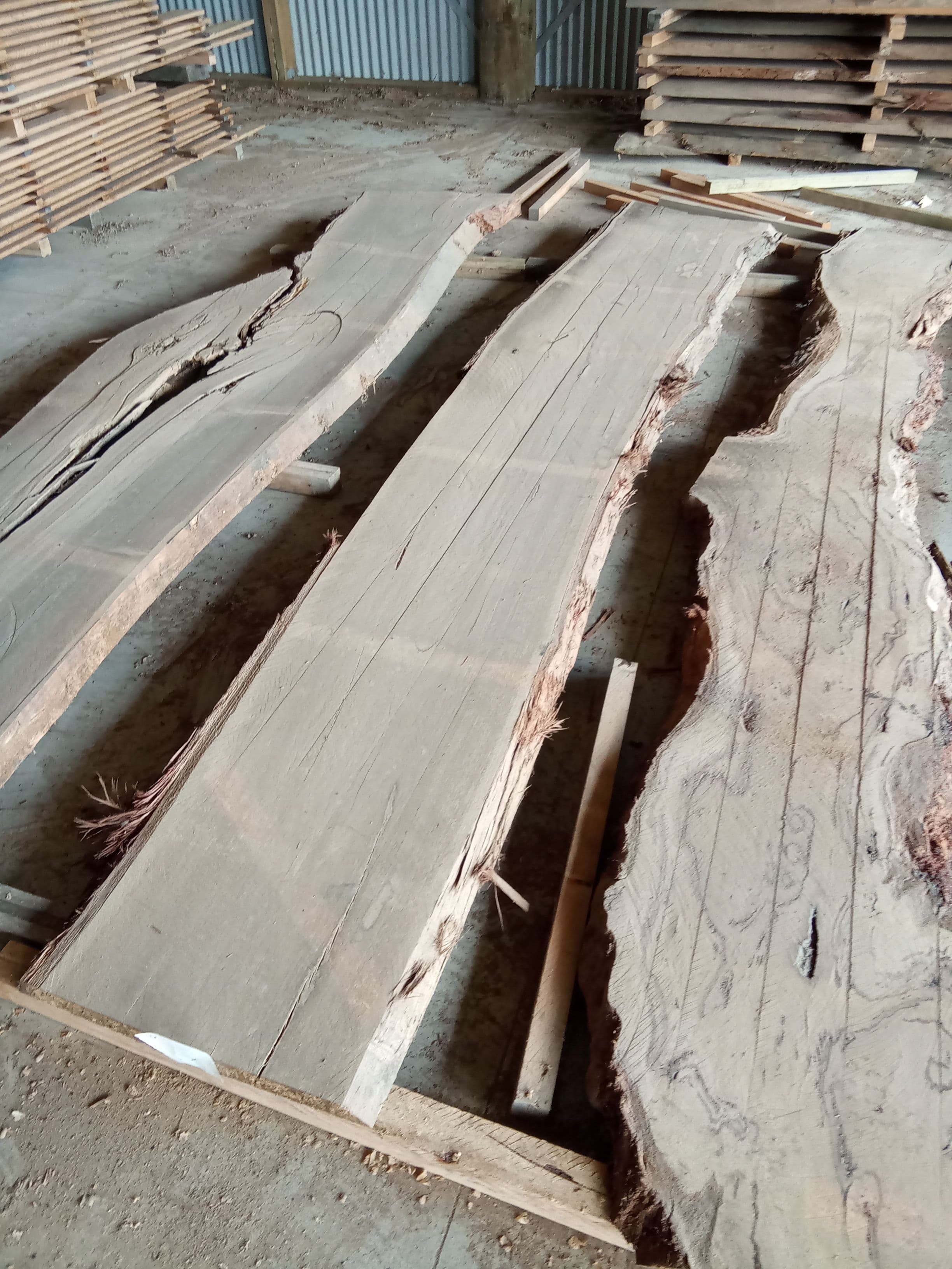 Blackbutt Eucalyptus Slab #22 view 1