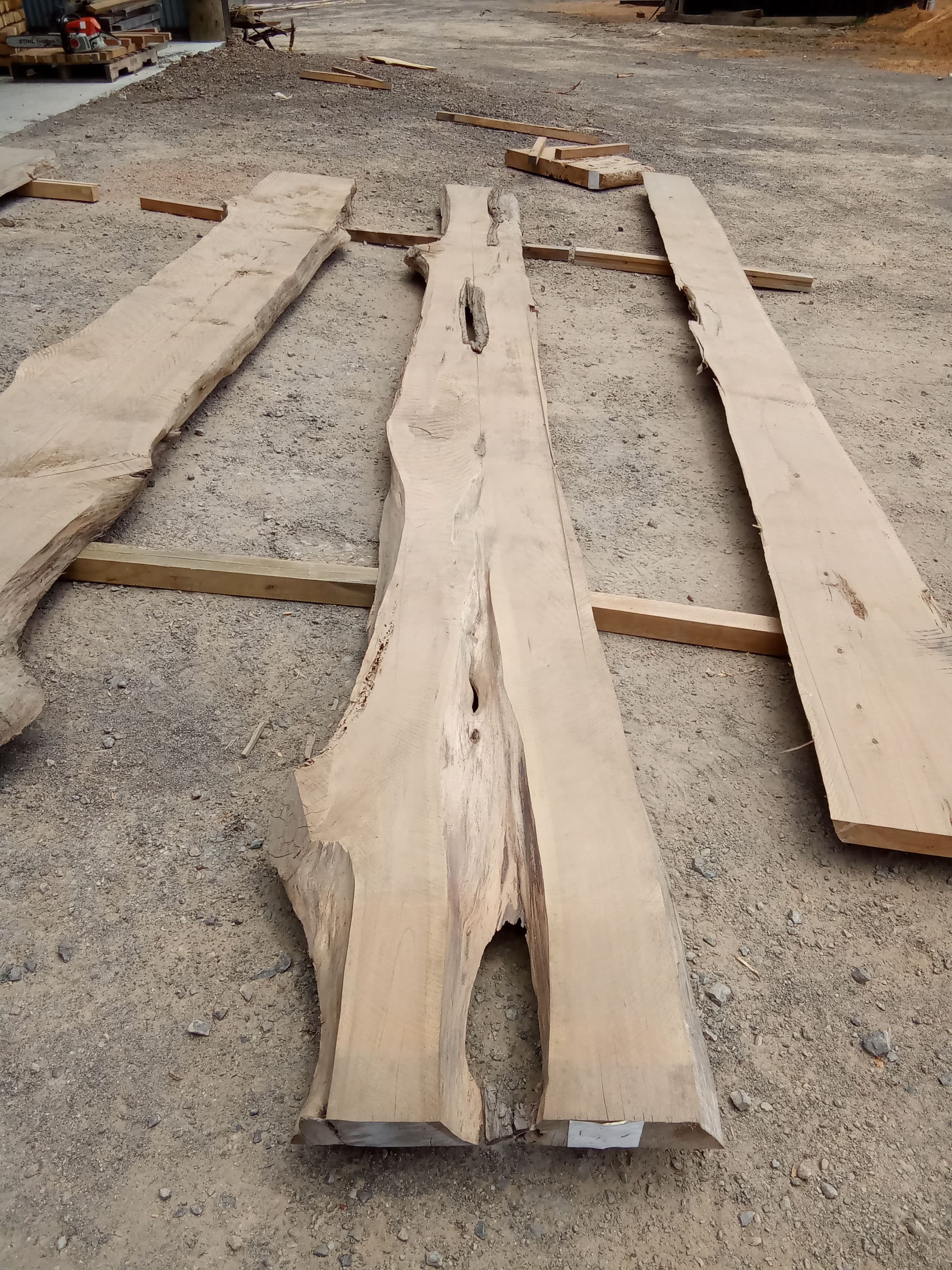 Macrocarpa Slab #18