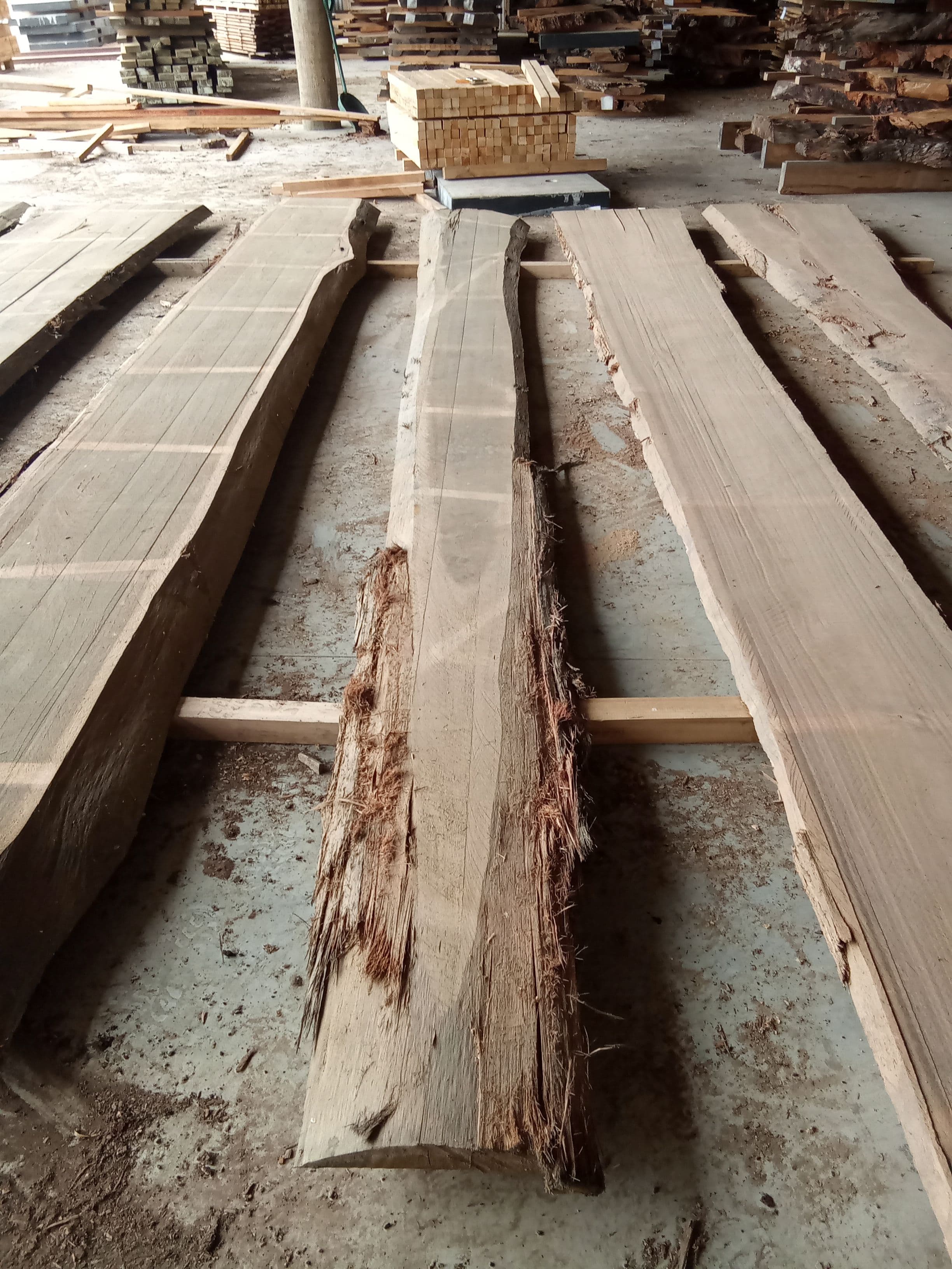 Blackbutt Eucalyptus Slab #8 view 2