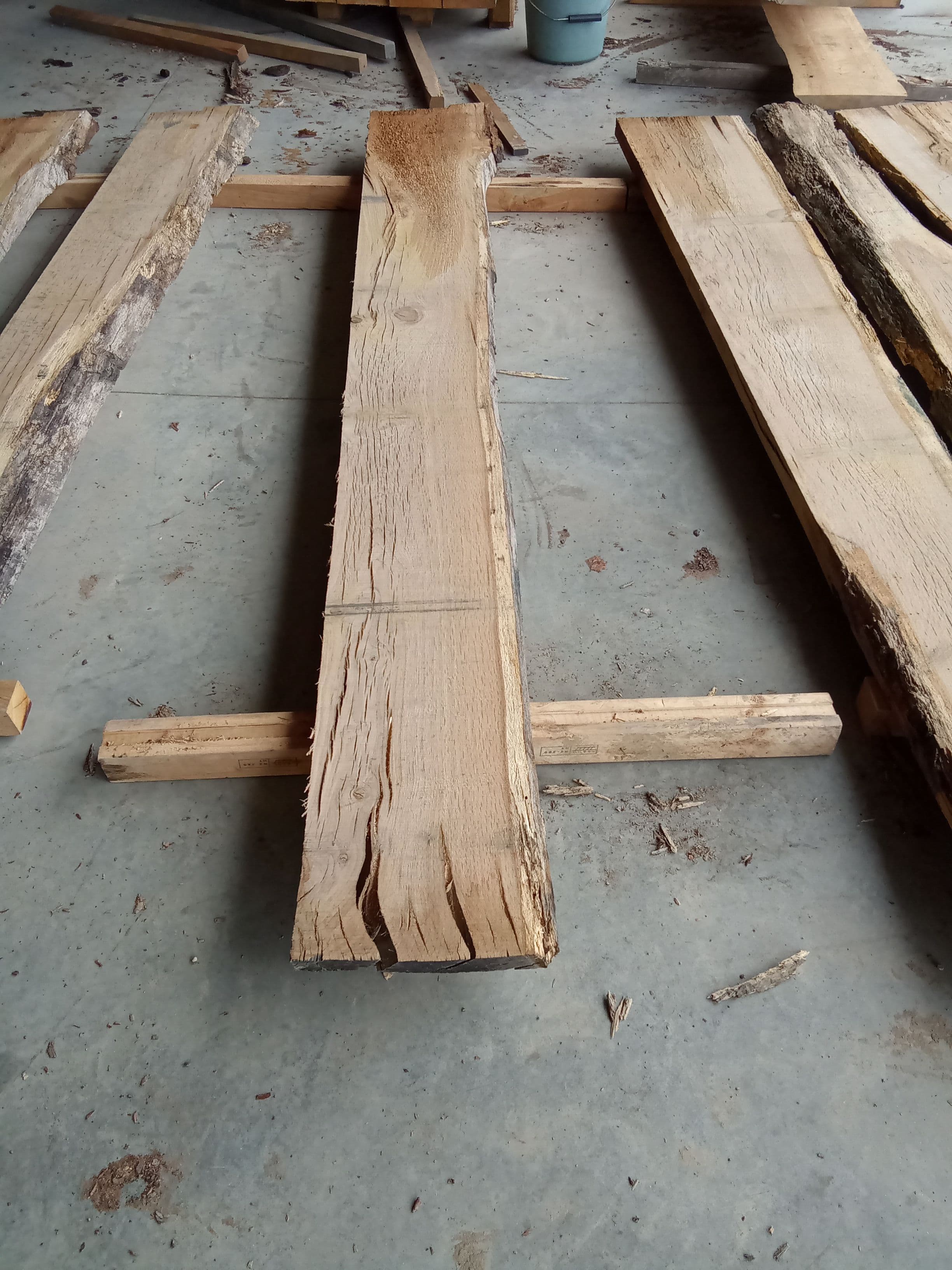 Oak Slab #11