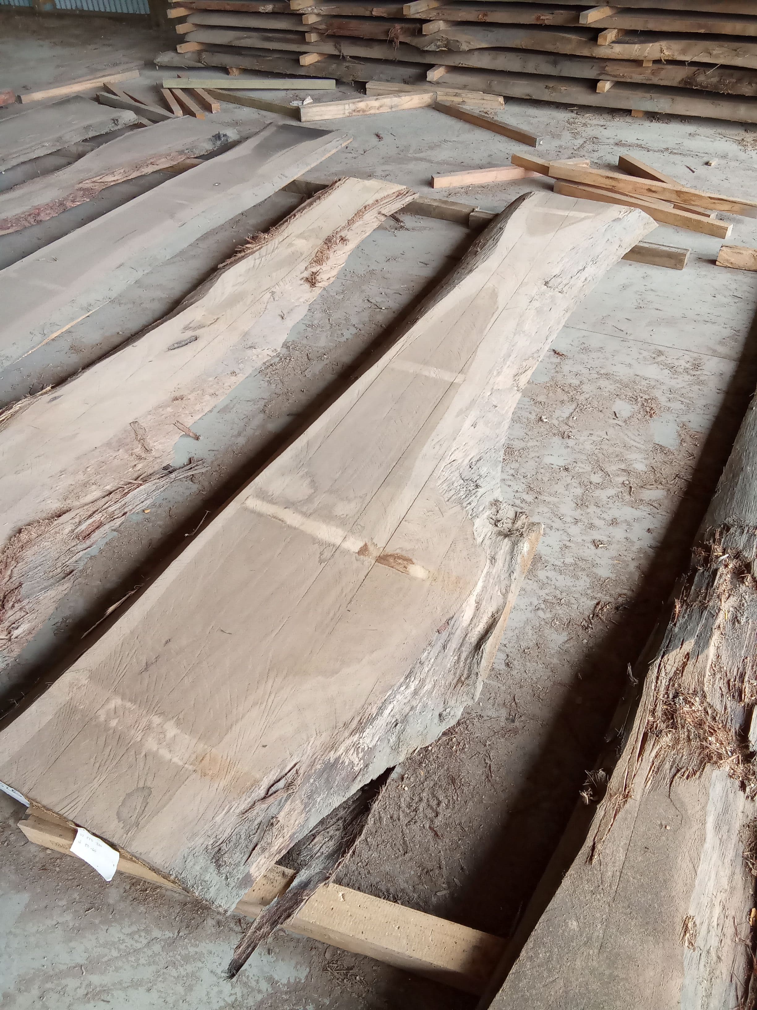 Blackbutt Eucalyptus Slab #26 view 1