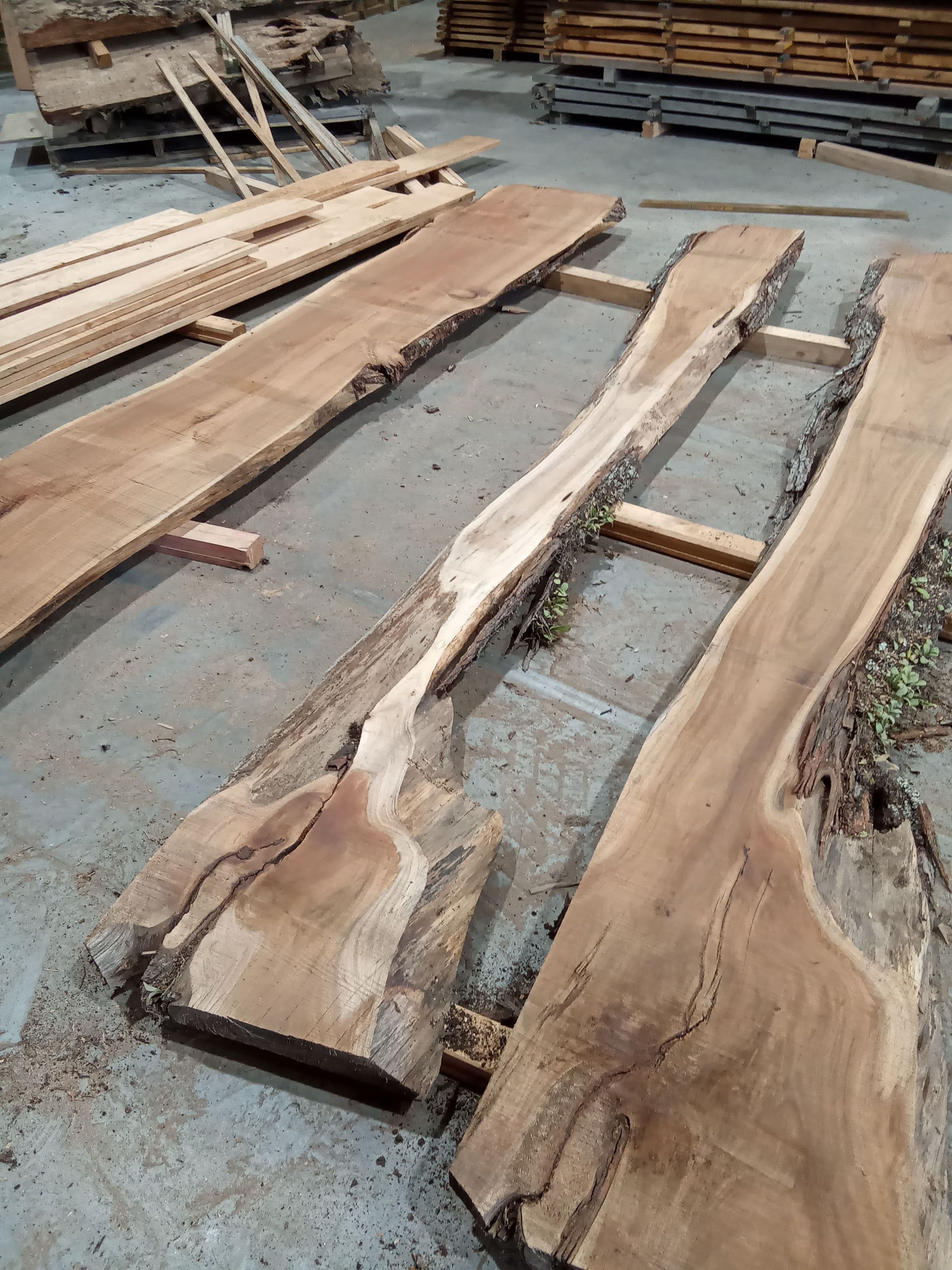 Blackwood Slab #1 view 1