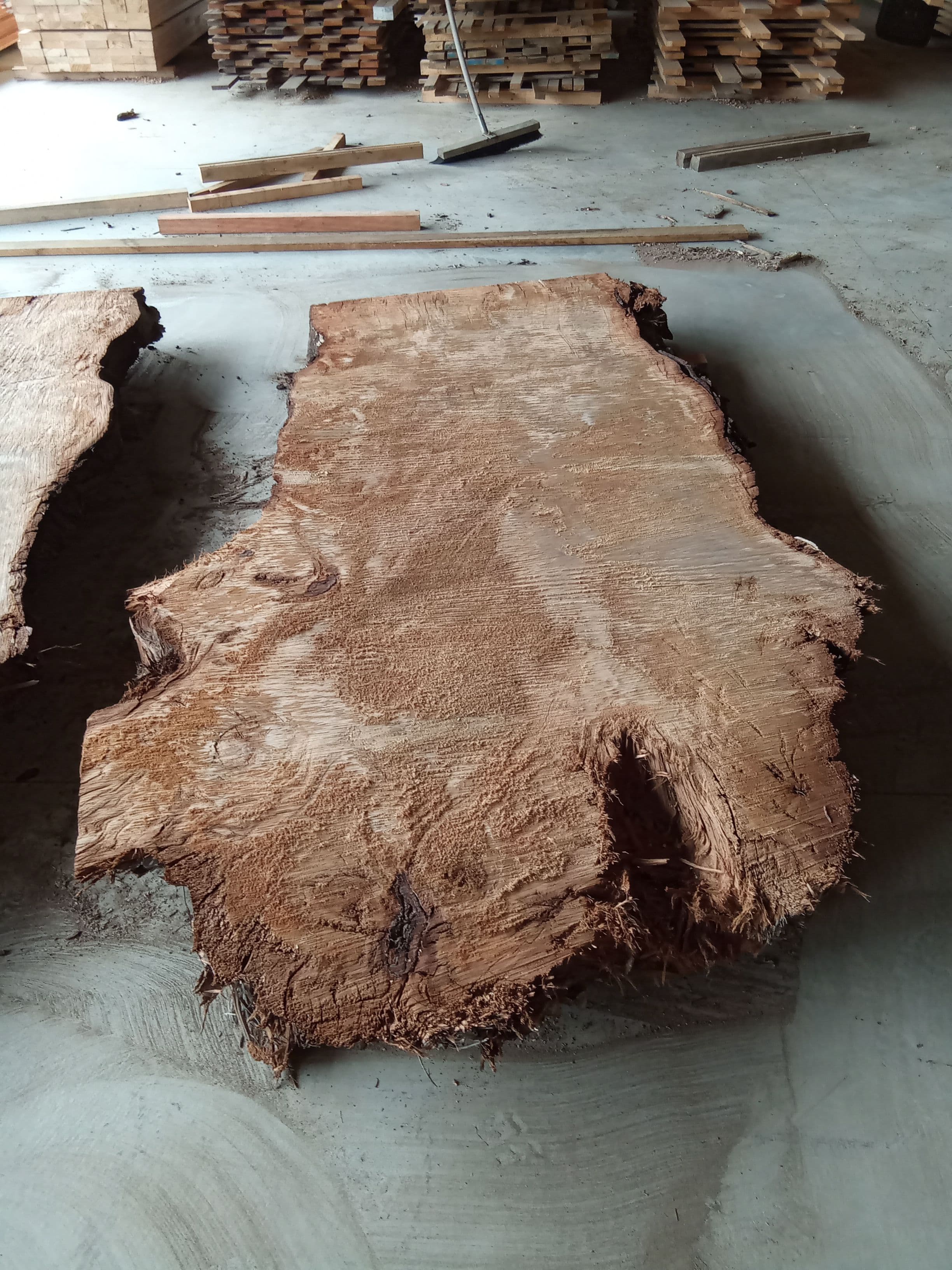 Kauri Slab #5 view 2
