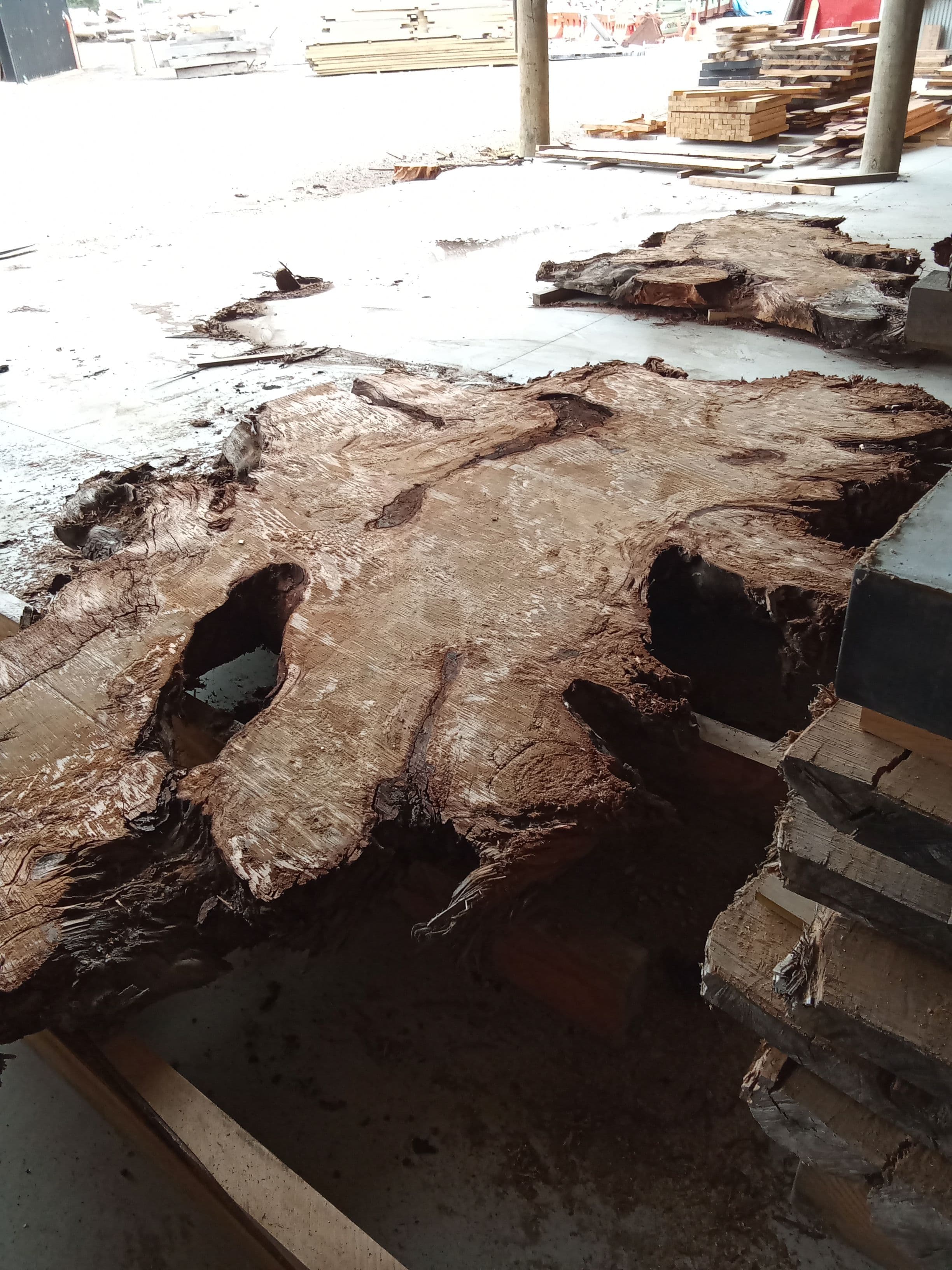 Kauri Slab #9 view 2