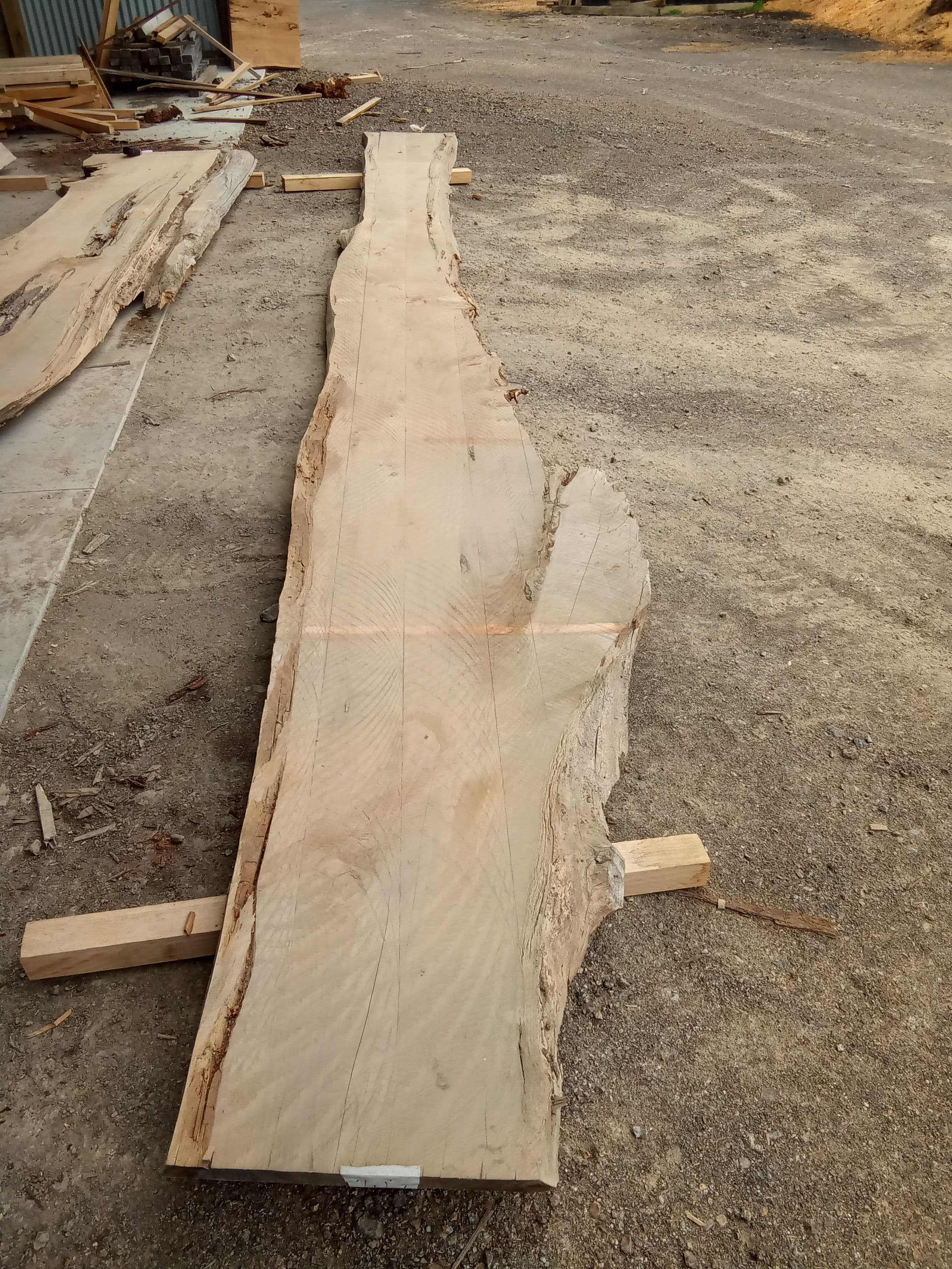 Macrocarpa Slab #33 view 2