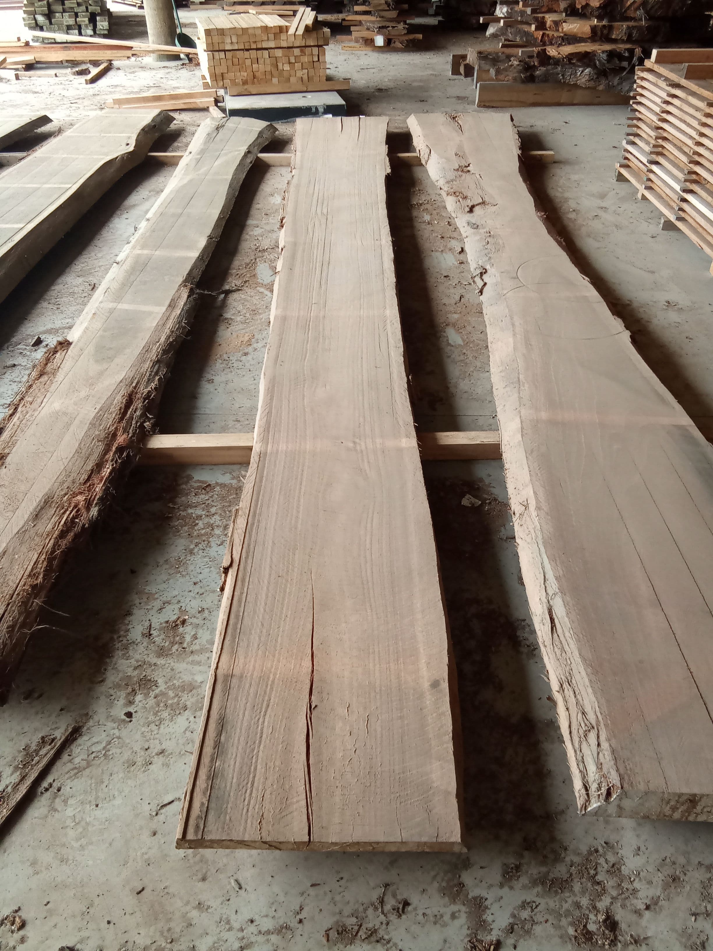 Saligna Eucalyptus Slab #7 view 2