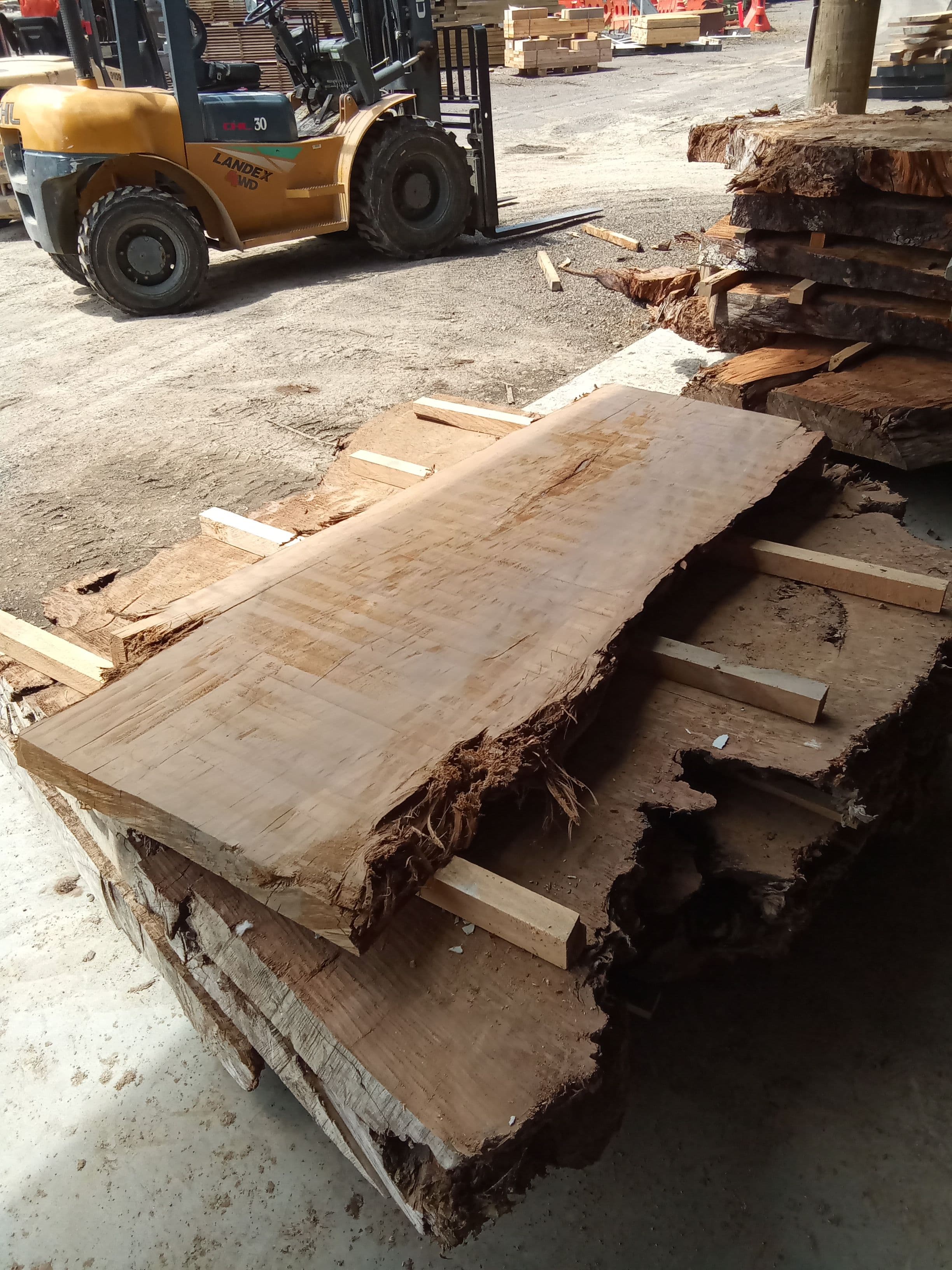Kauri Slab #19 view 1