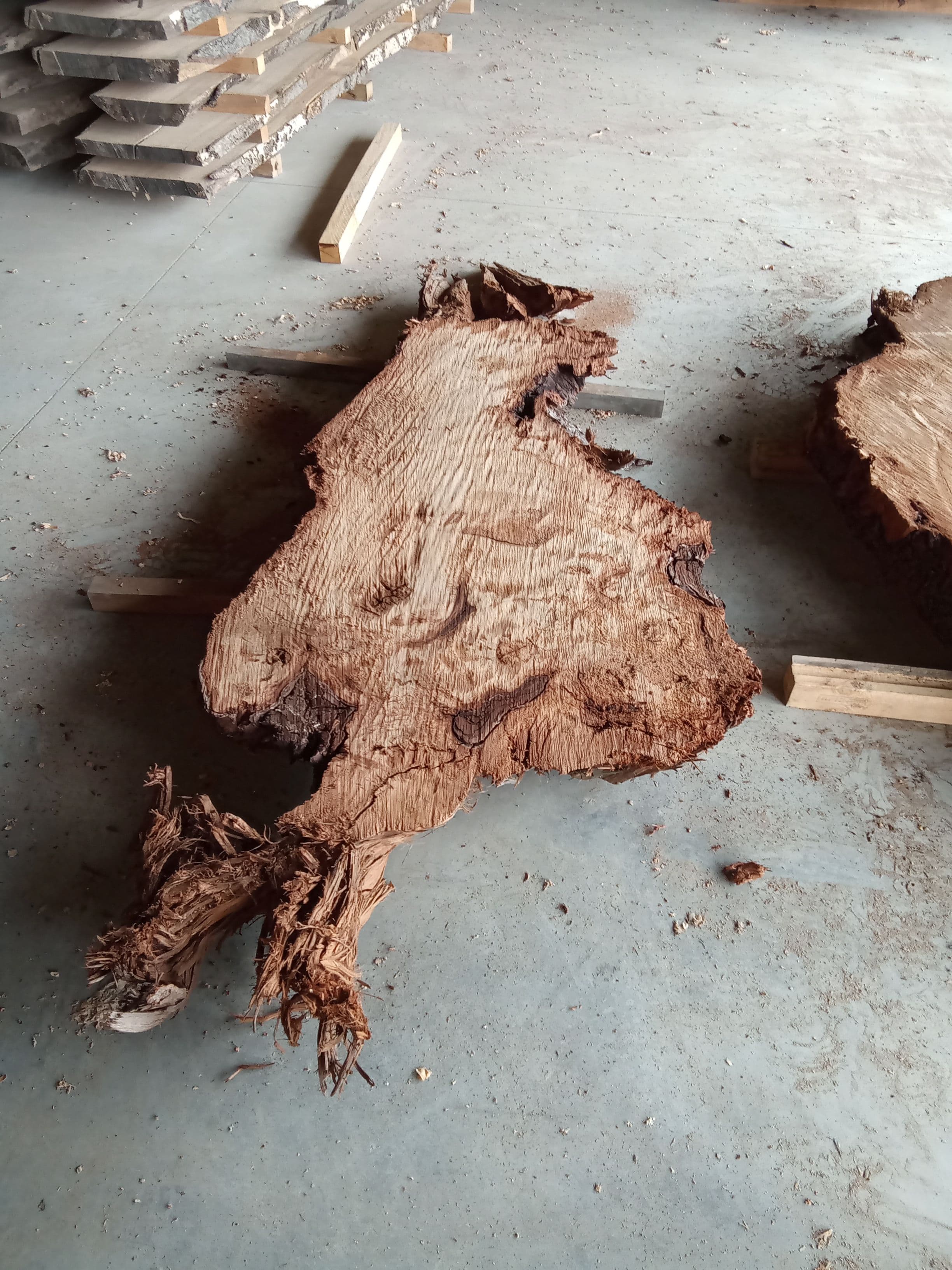 Kauri Slab #2