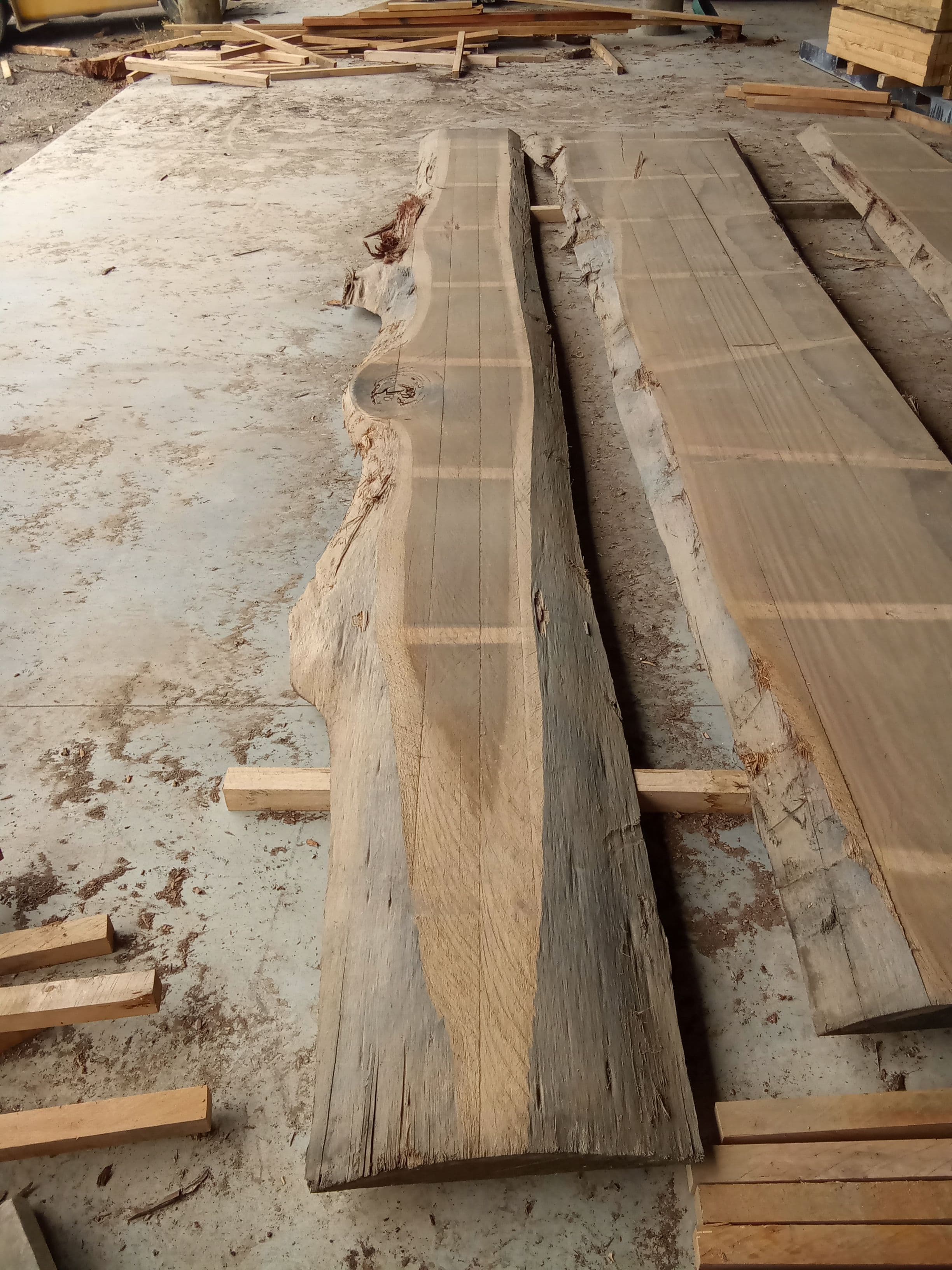 Blackbutt Eucalyptus Slab #11 view 2