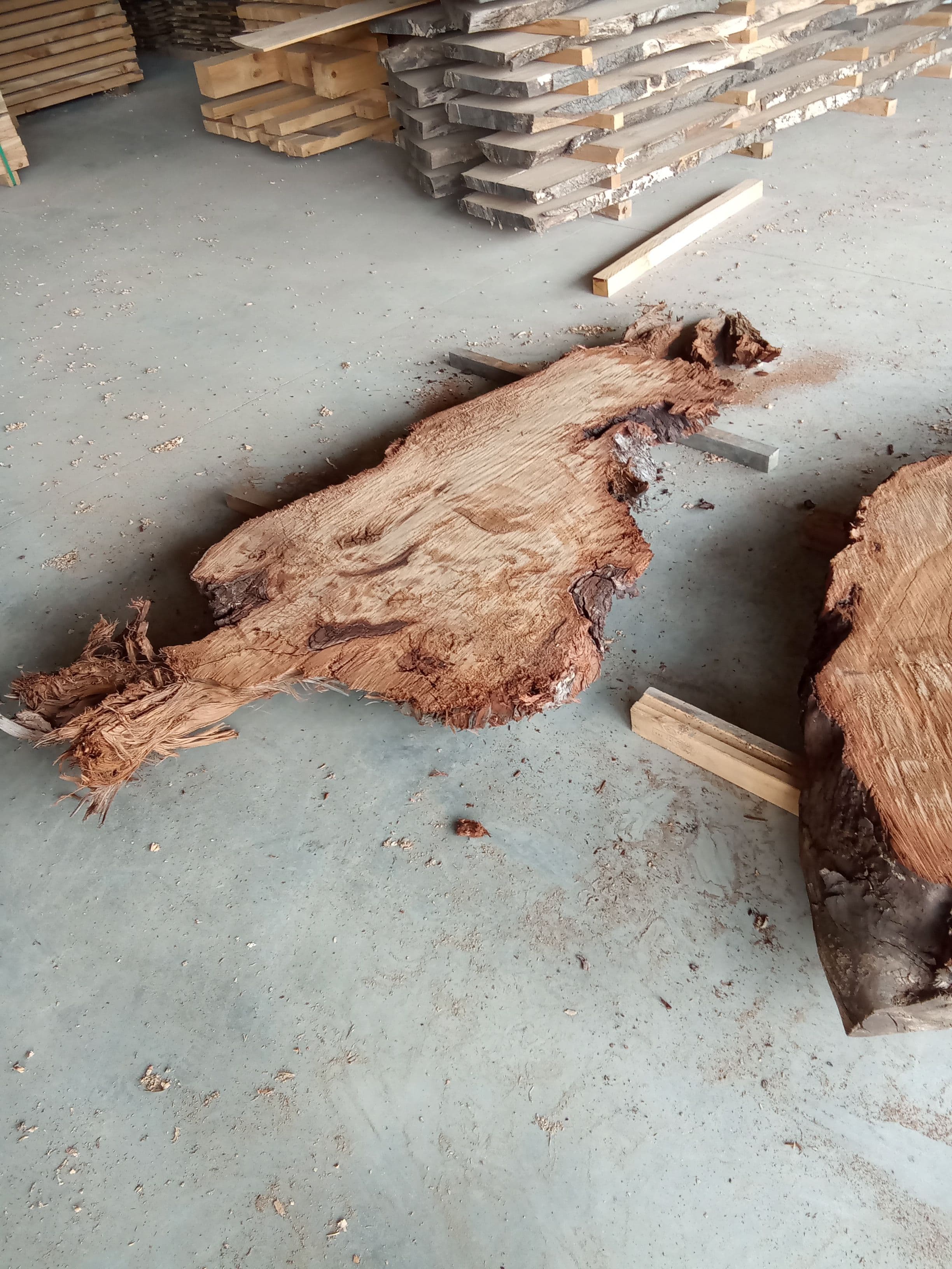Kauri Slab #2 view 1