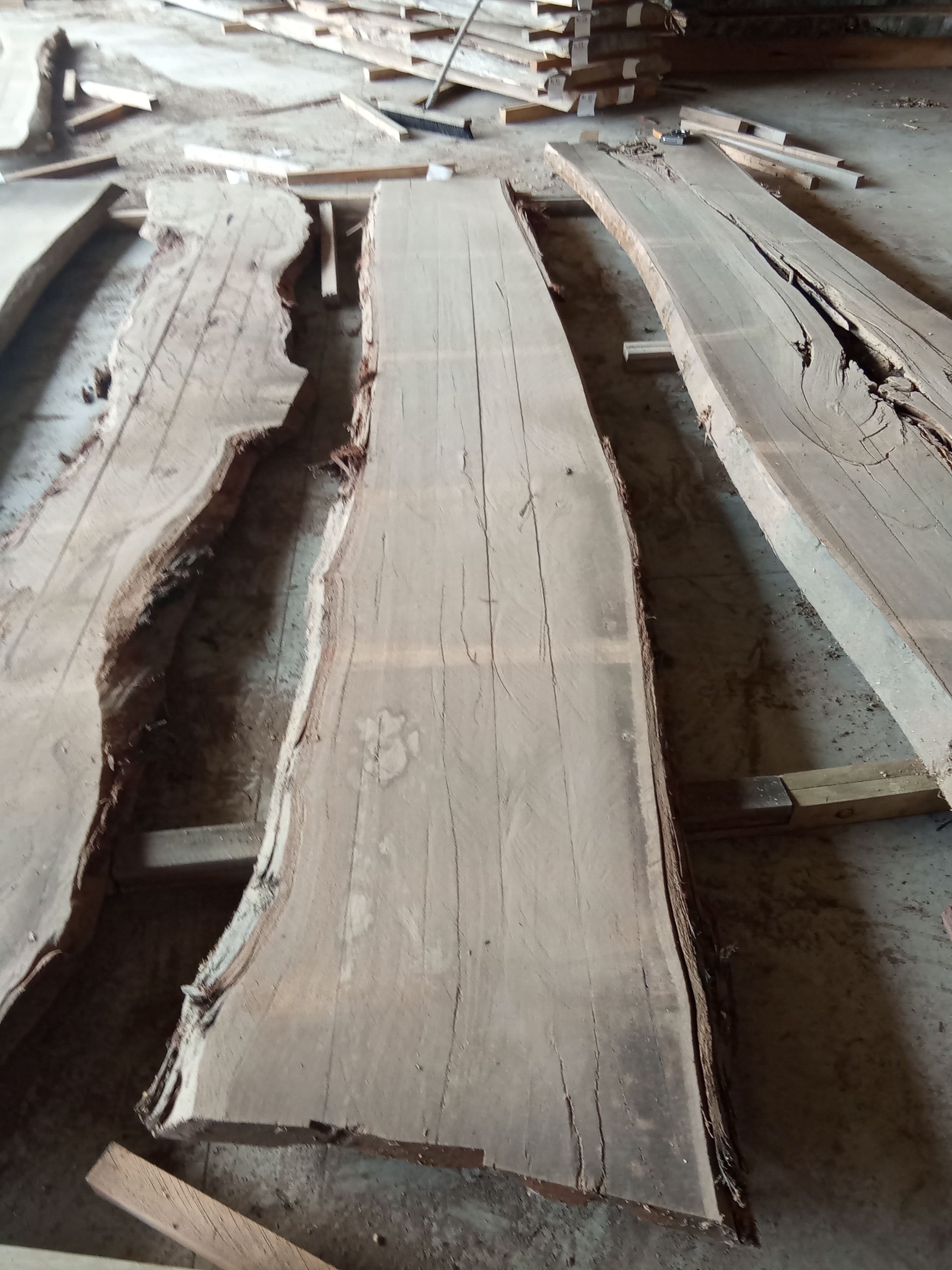 Blackbutt Eucalyptus Slab #22 view 2