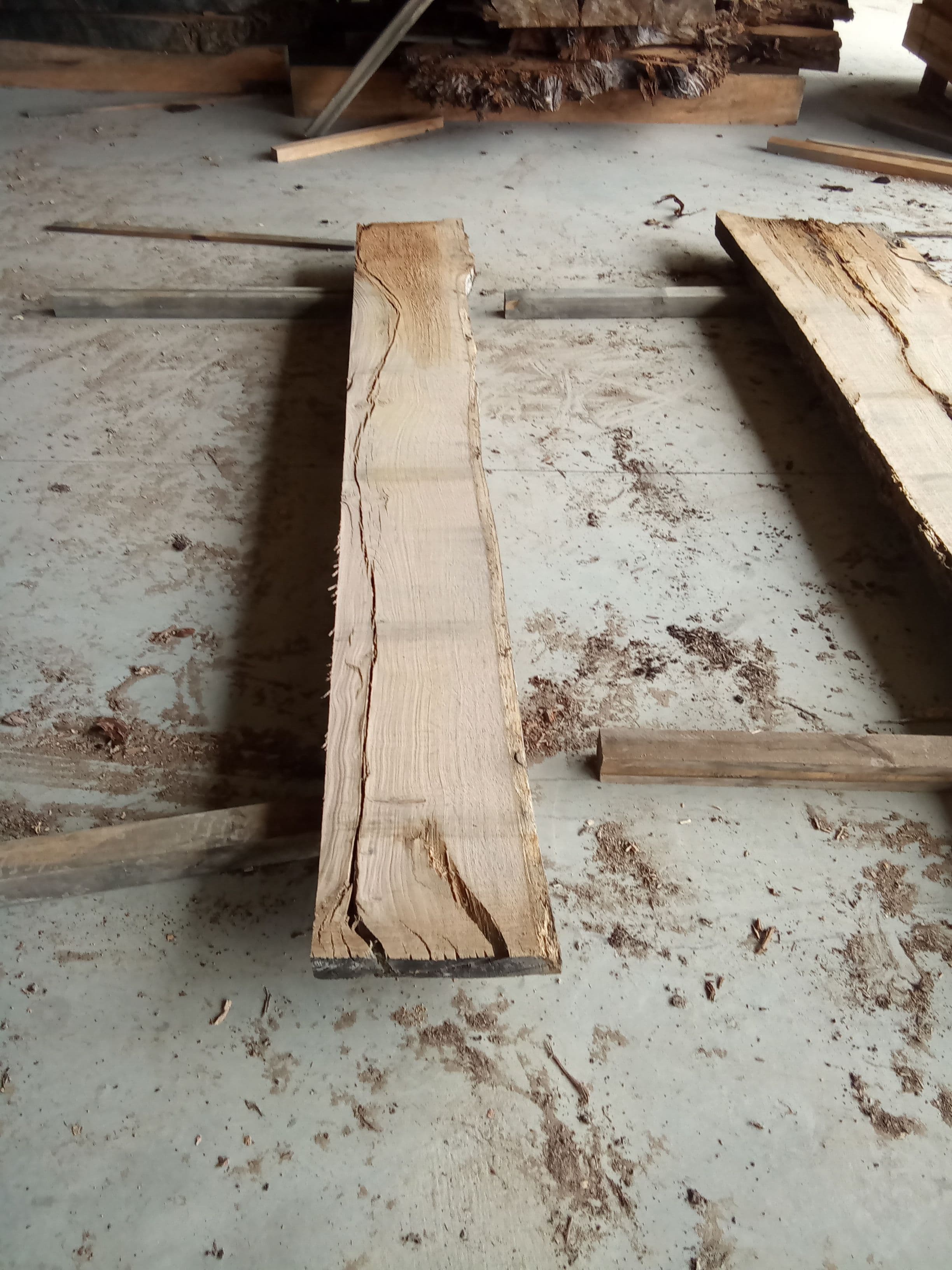 Oak Slab #15