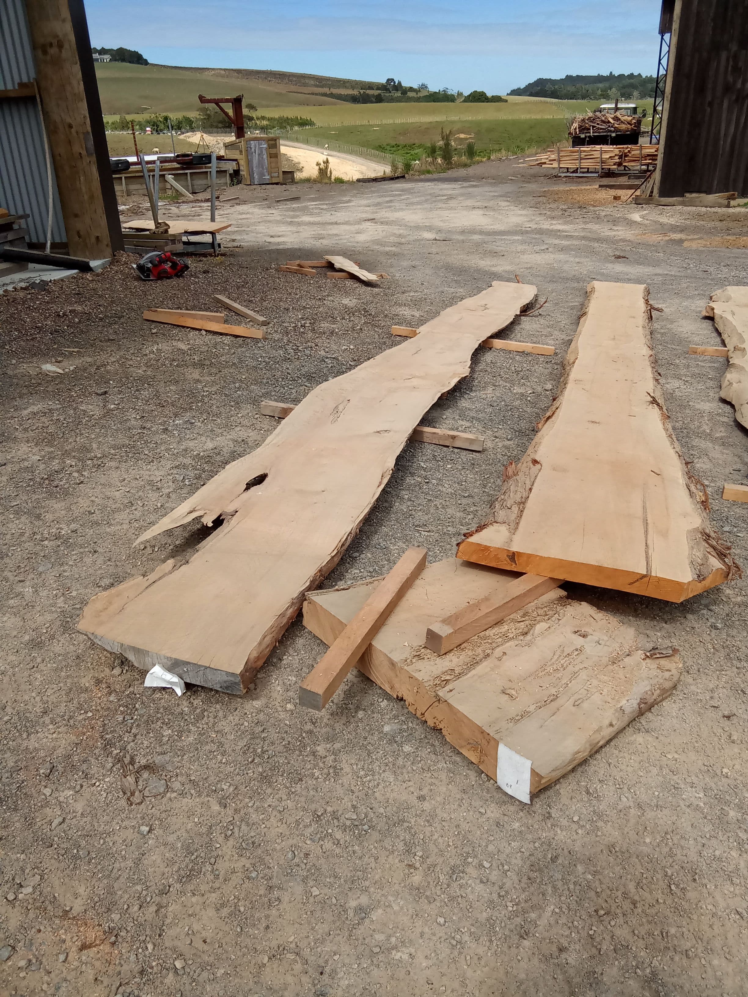 Macrocarpa Slab #6 view 1