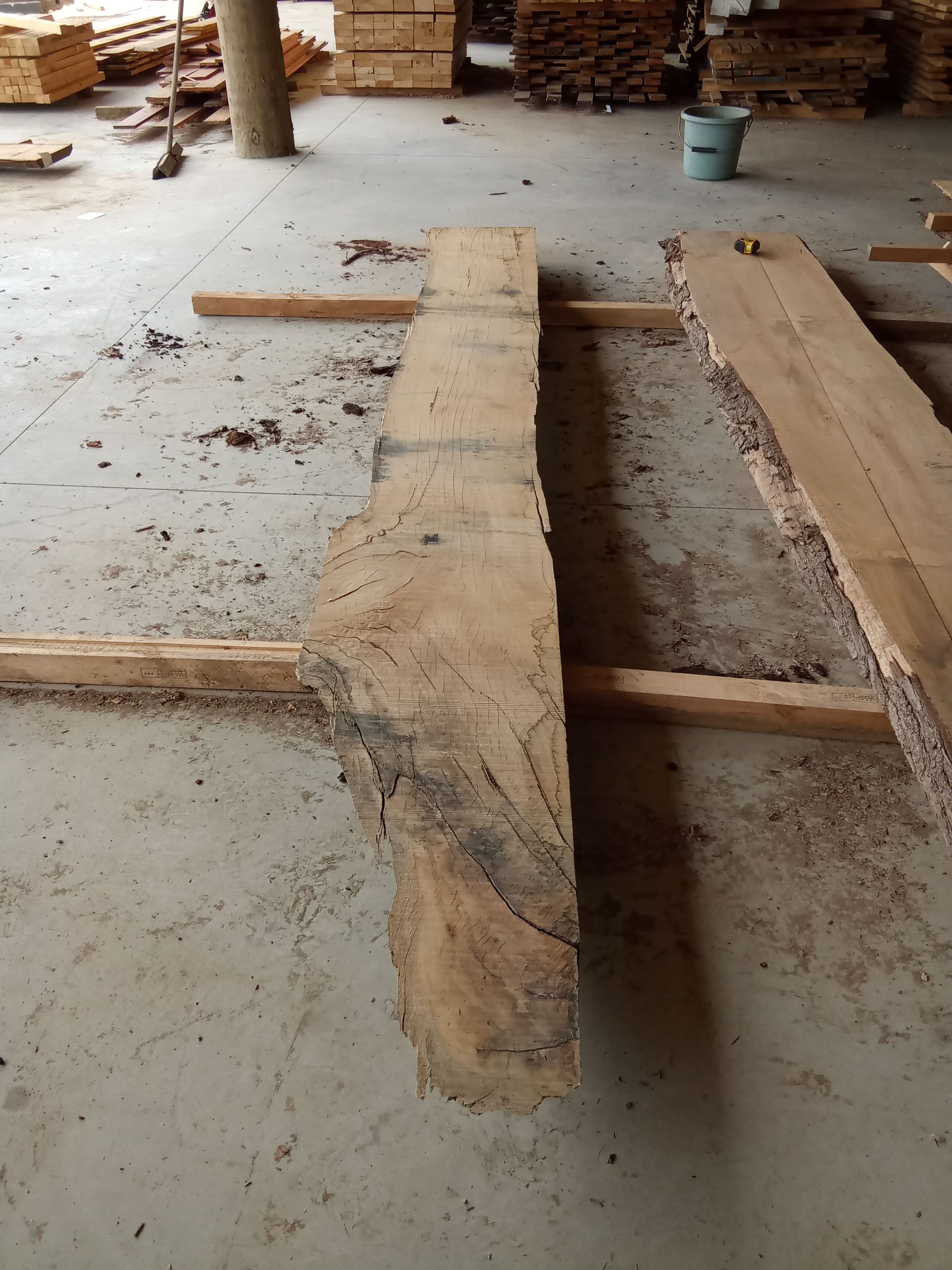 Blackbutt Eucalyptus Slab #5 view 2
