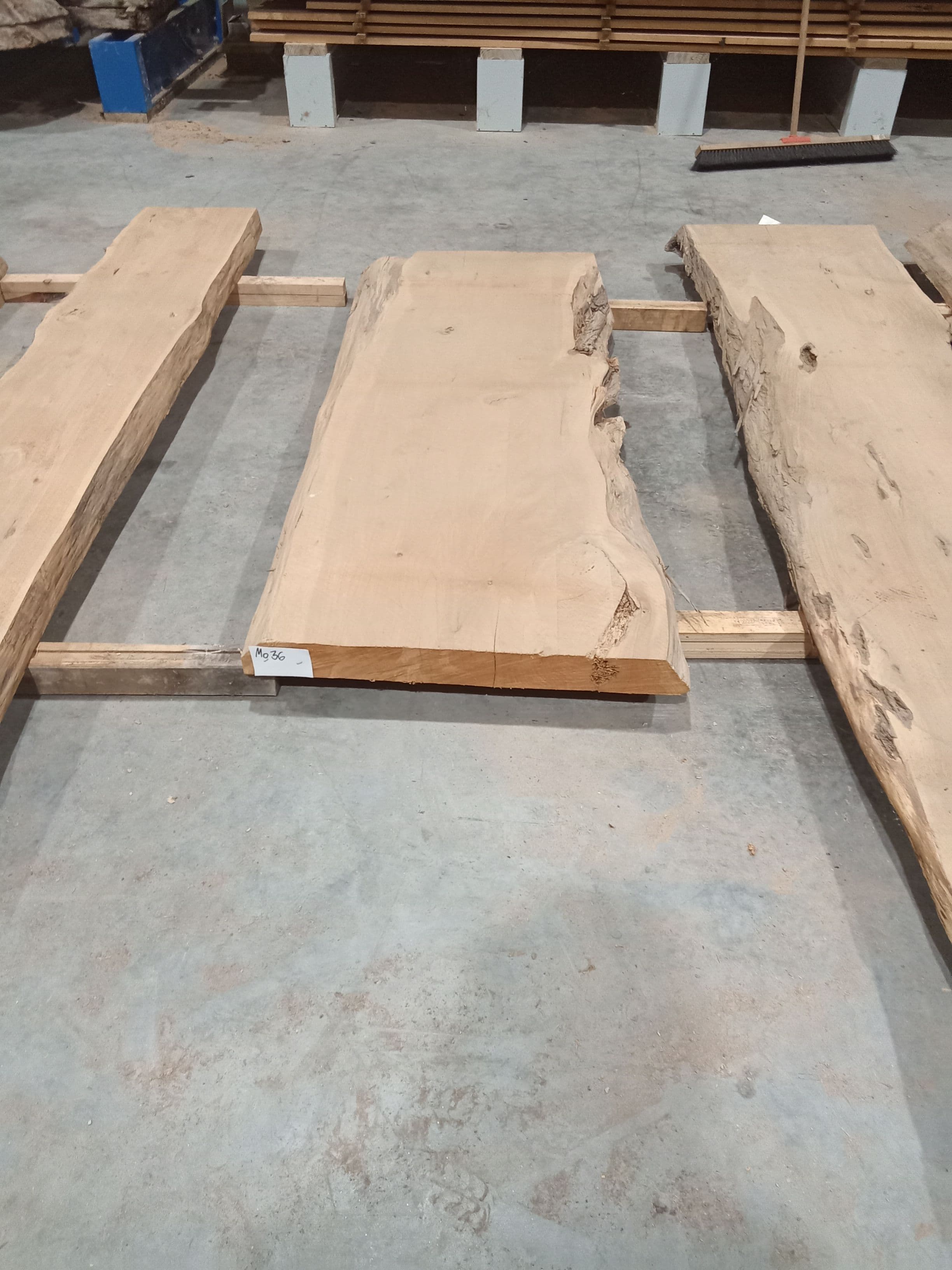 Macrocarpa Slab #36 view 2
