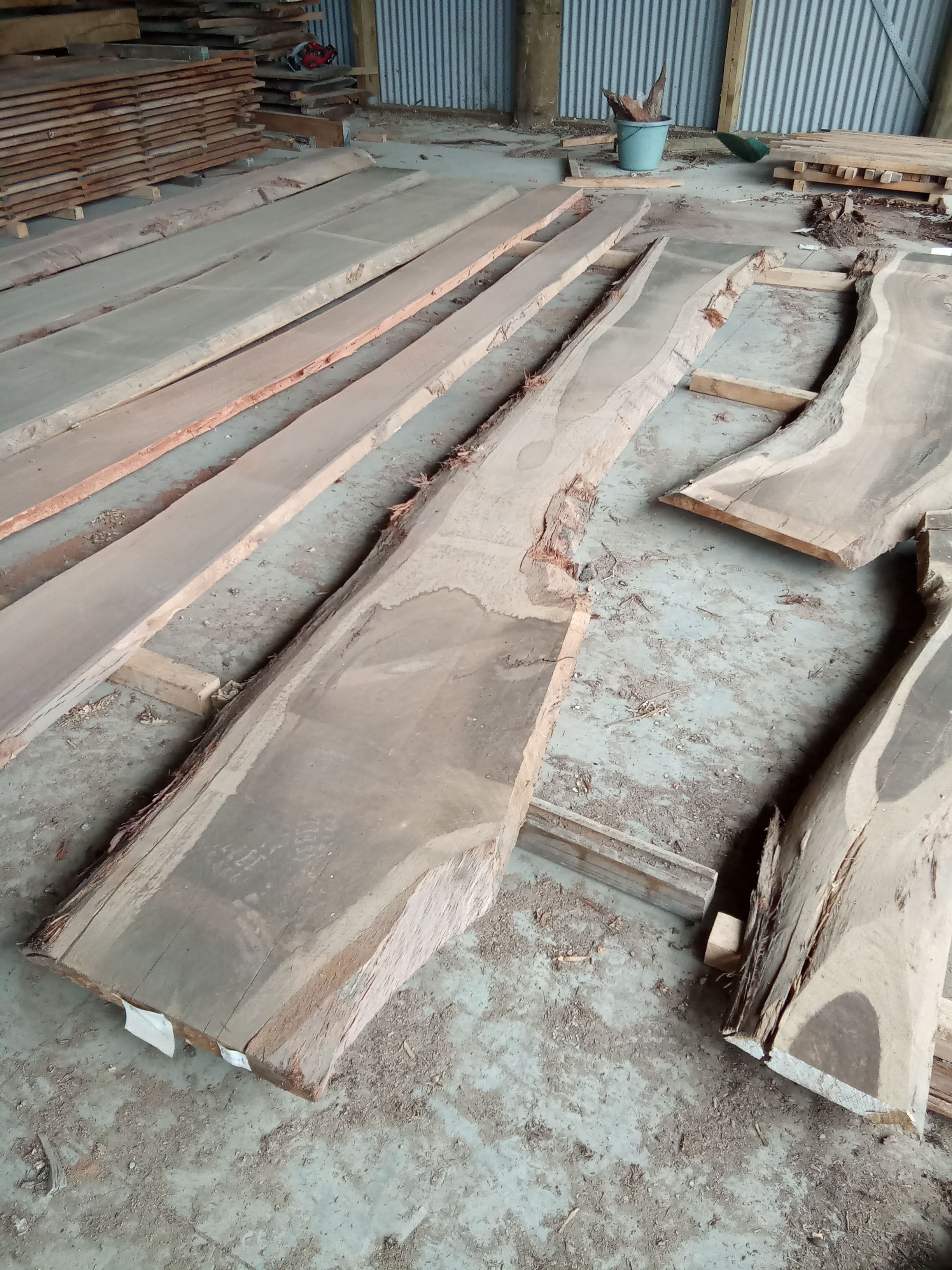Blackbutt Eucalyptus Slab #17 view 1