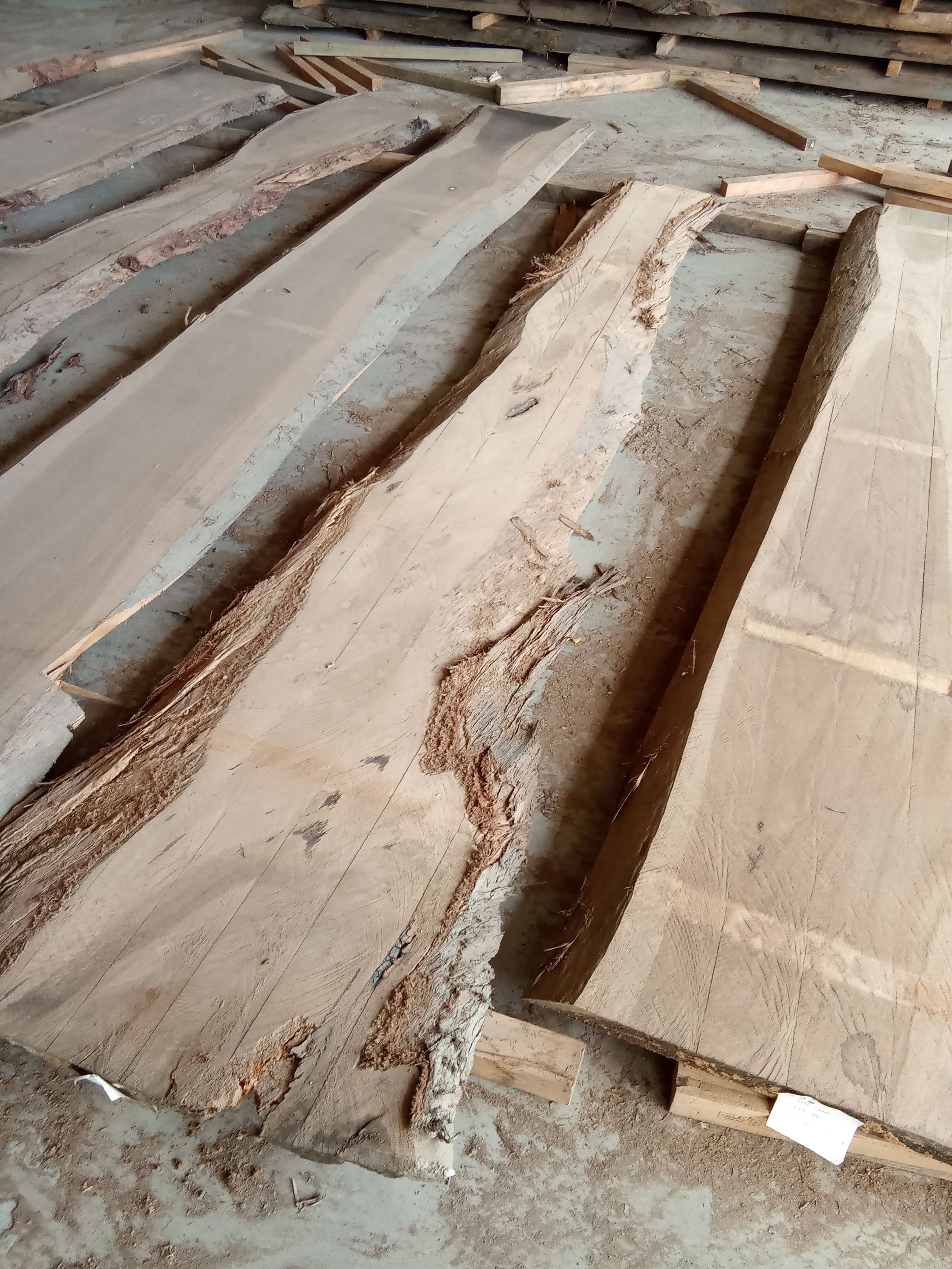 Blackbutt Eucalyptus Slab #25 view 1