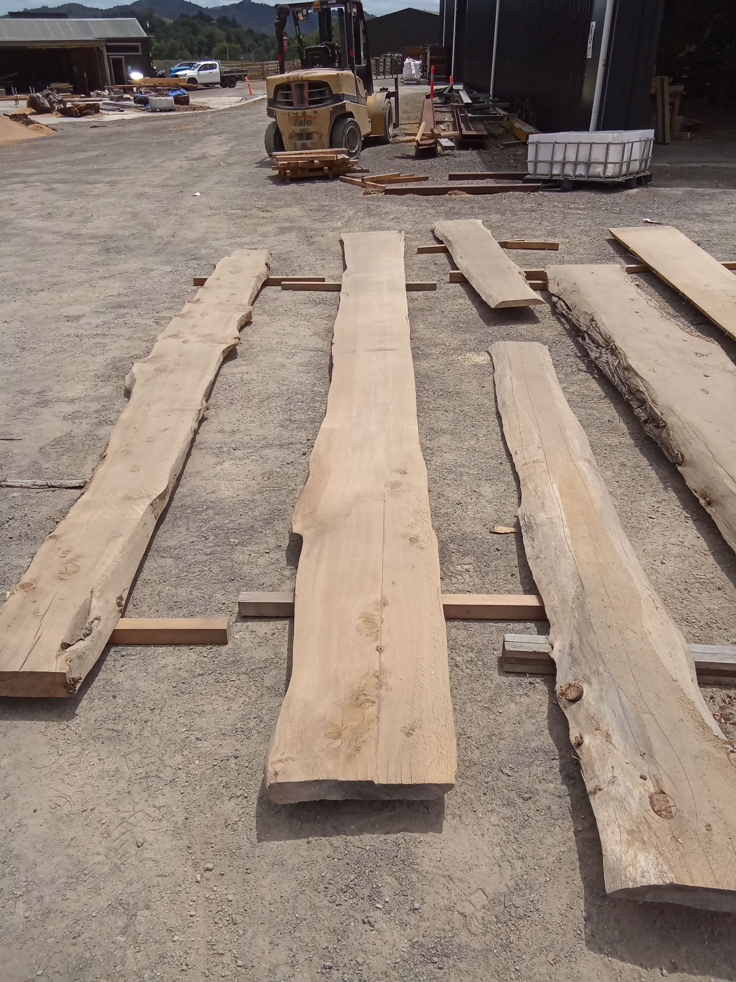 Macrocarpa Slab #15 view 2