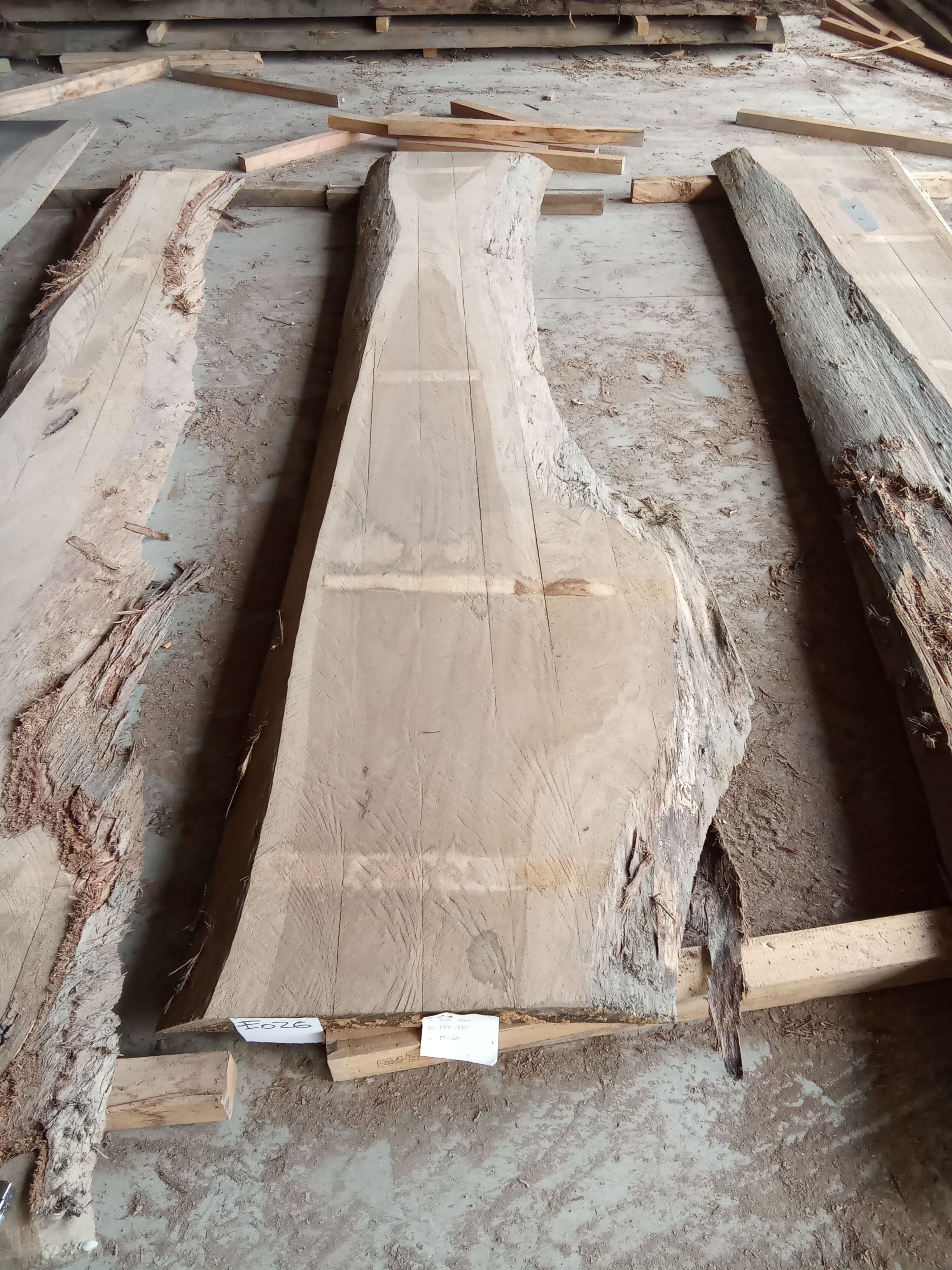 Blackbutt Eucalyptus Slab #26