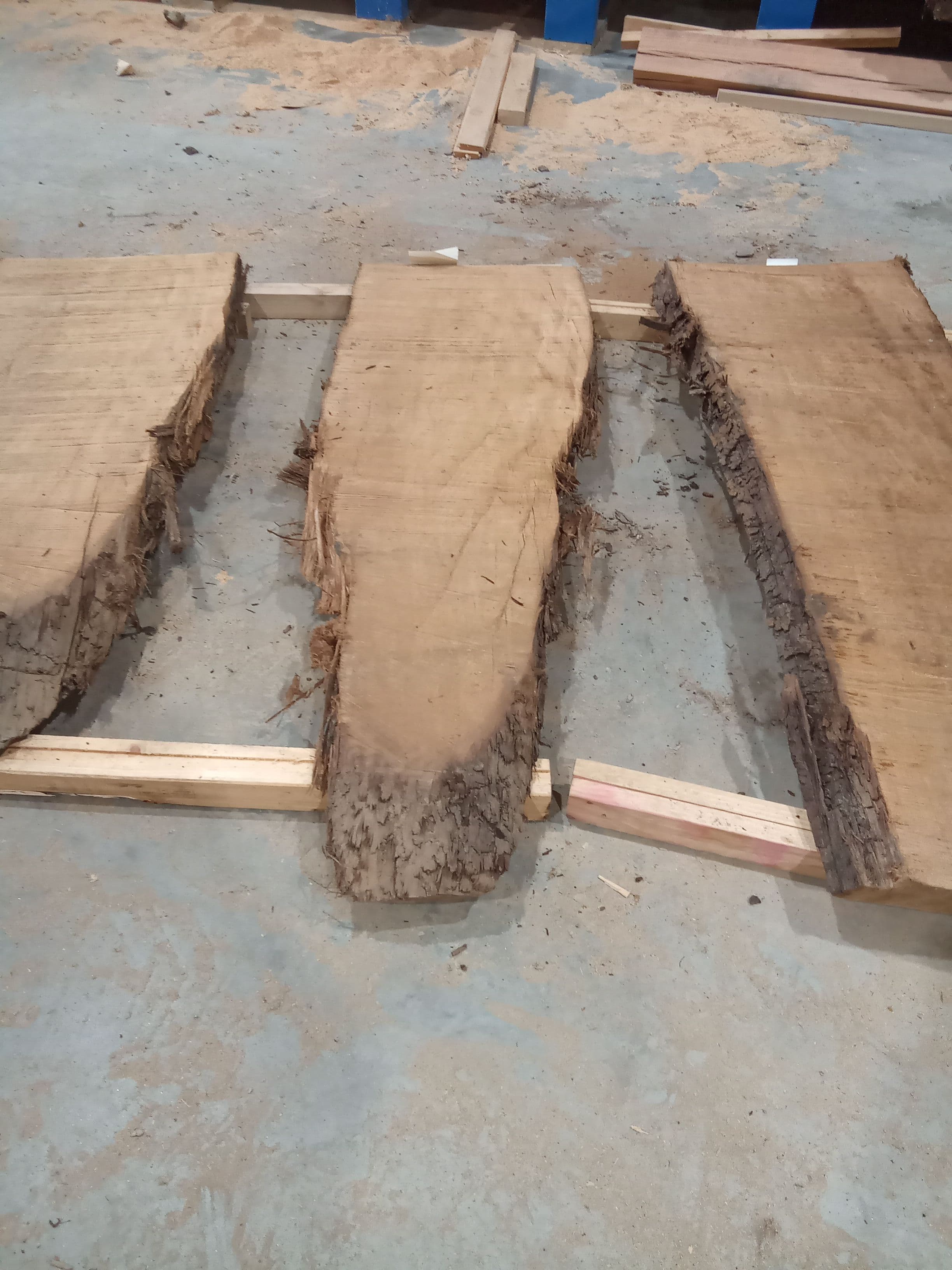 Kauri Slab #33 view 2