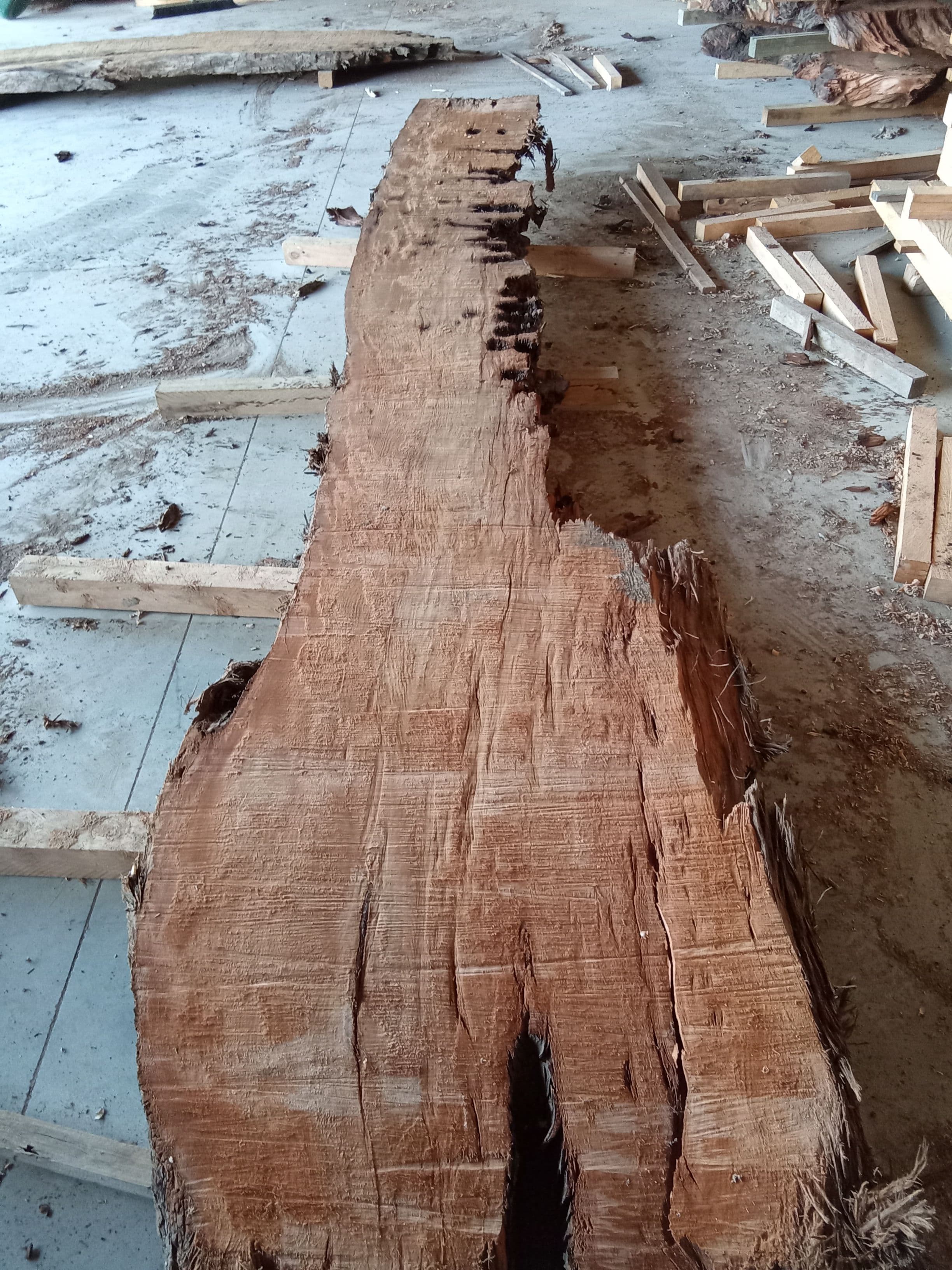 Kauri Slab #13 view 2