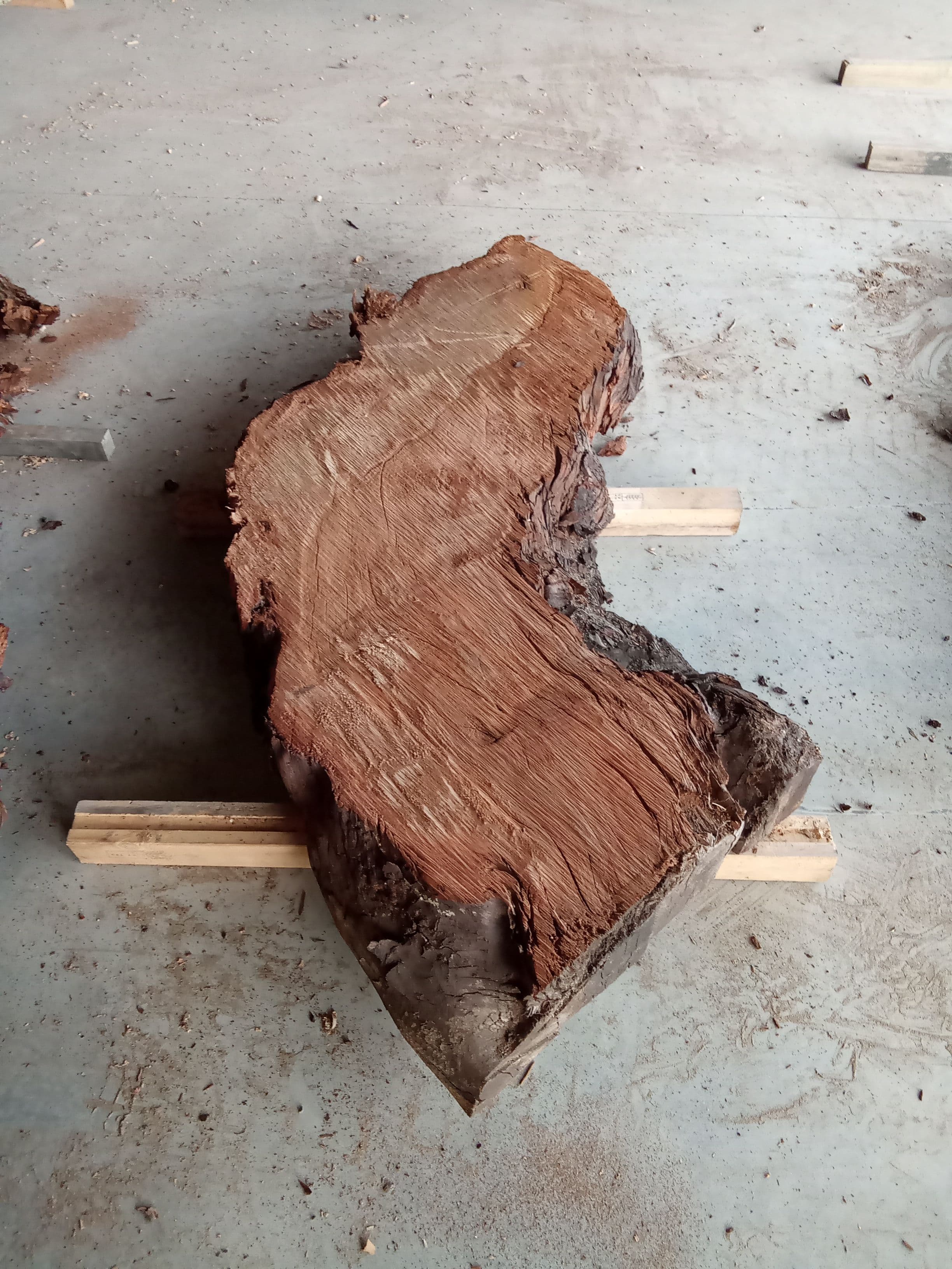 Kauri Slab #1